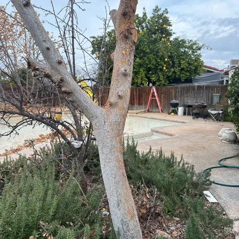 a view of a backyard