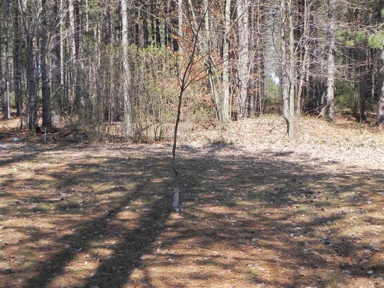 16720 Springdale Road Thompsonville, MI 49683 - Photo 24 of 24 Additional Photo