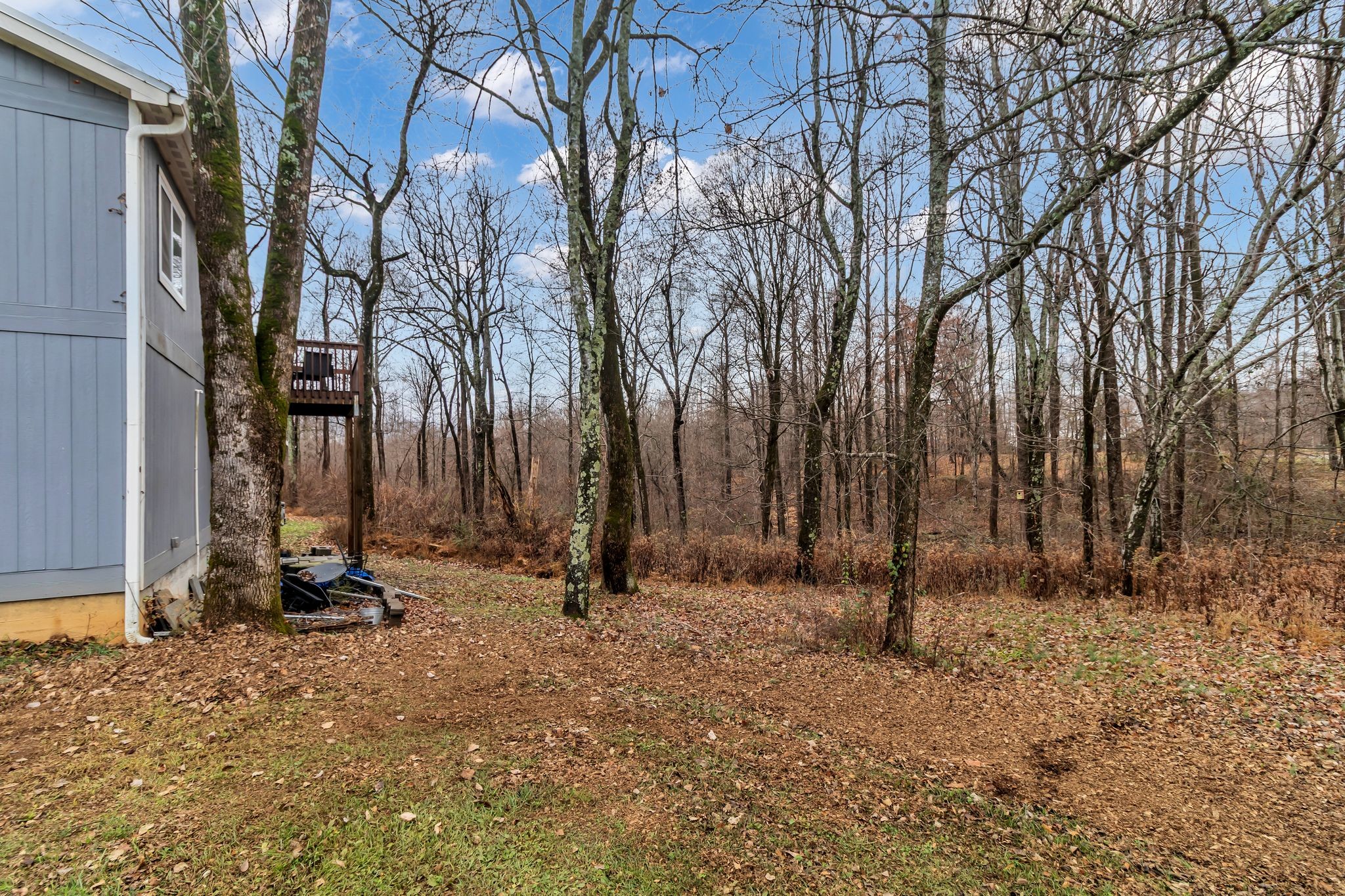 703 Union Ridge Road Wartrace, TN 37183 - Photo 24 of 29 Gallery Image 24