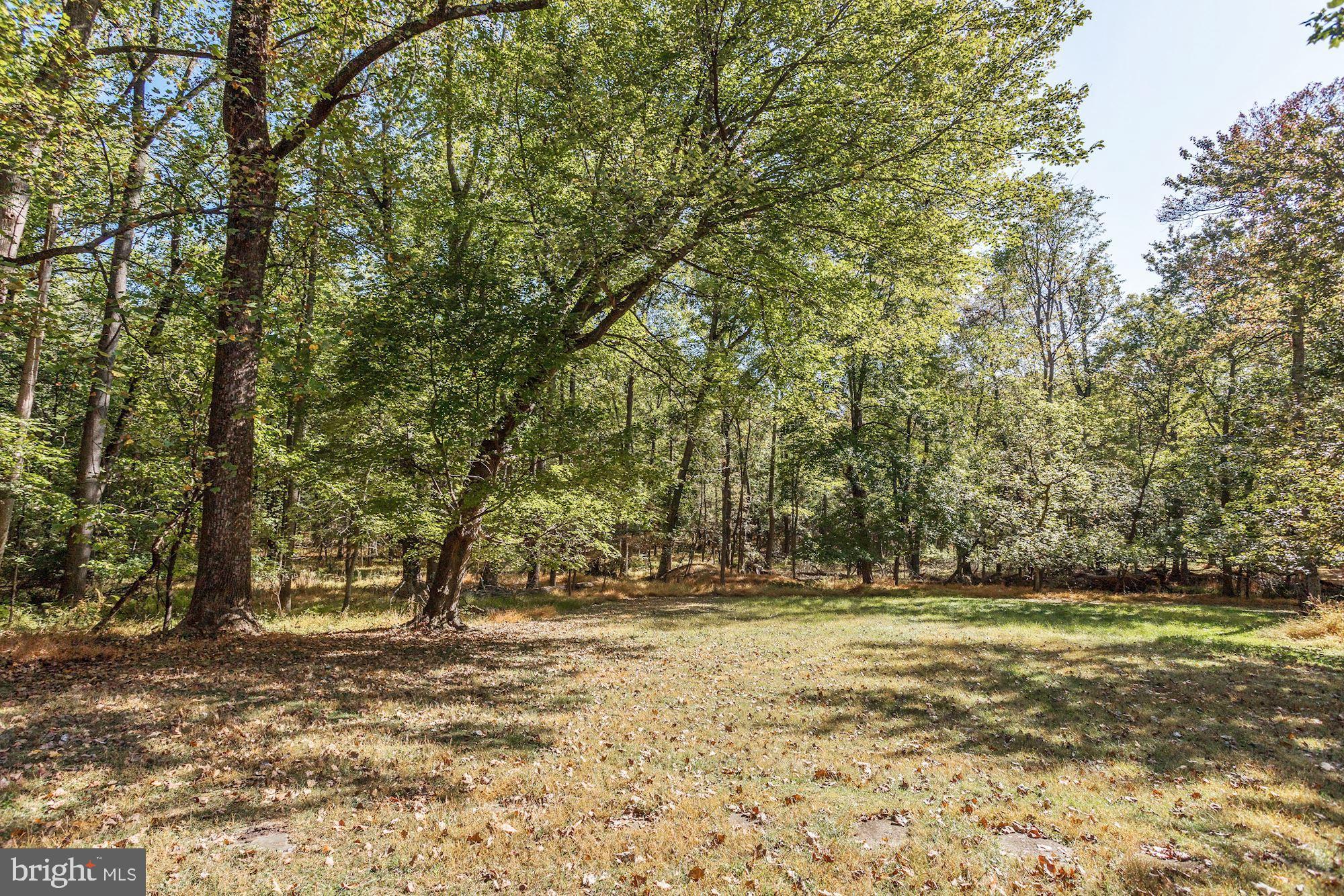 15807 Good Hope Road Silver Spring, MD 20905 - Photo 33 of 33 Backyard