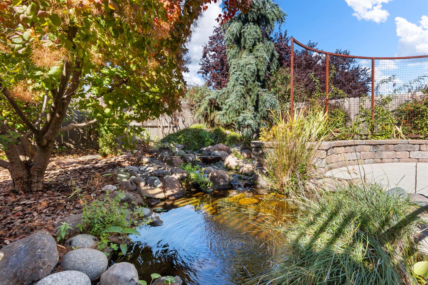 3451 Rainhill Loop Roseville, CA 95747 - Photo 27 of 40 a view of a yard