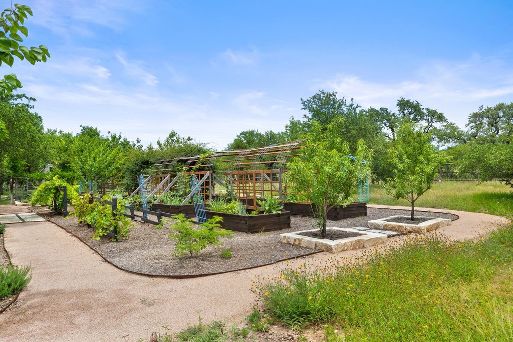 290 Sunset Ridge Dripping Springs, TX 78620 - Photo 29 of 36 Cultivate your dreams in this extensive garden, featuring raised beds and ample trellising amidst a verdant landscape.