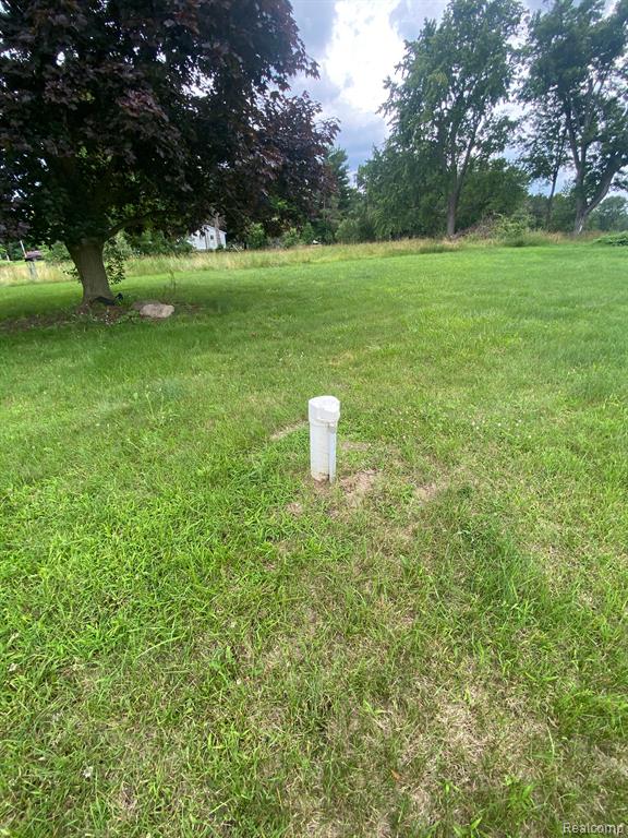 14370 Center Road Clio, MI 48420 - Photo 4 of 5