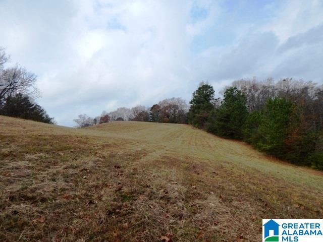 351 Beasley Road Gardendale, AL 35071 - Photo 5 of 6