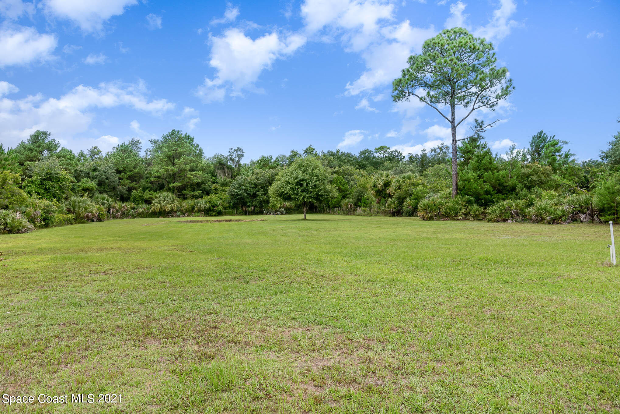 5190 Blounts Ridge Road Mims, FL 32754 - Photo 6 of 23 DSC00016-Edit