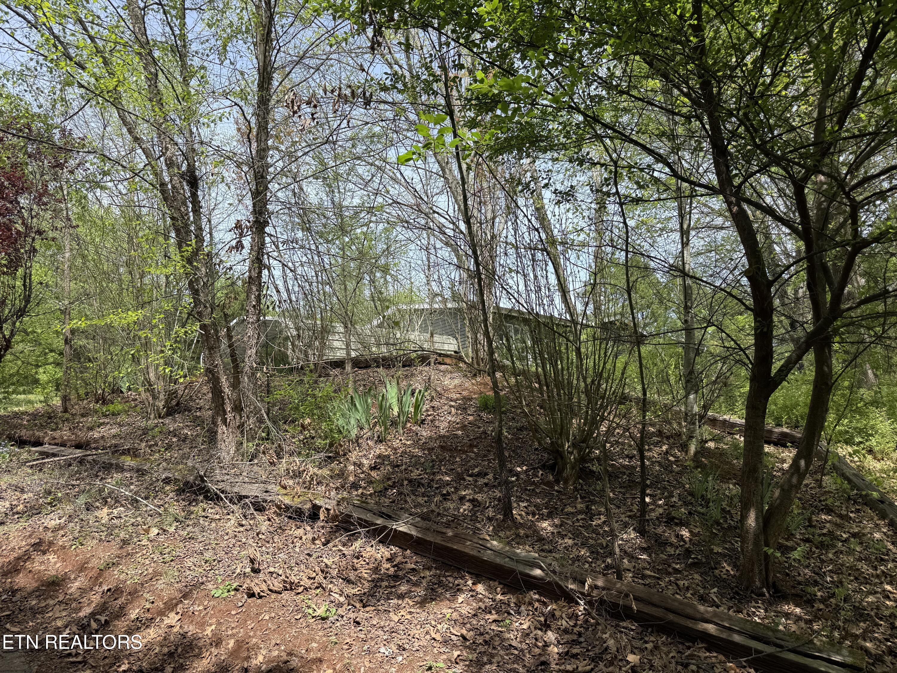 947 North Old Grey Ridge Road Friendsville, TN 37737 - Photo 5 of 55 IMG_2839