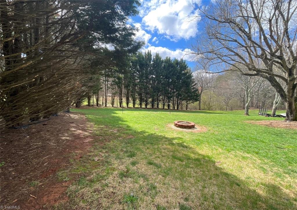 3952 Pride's Road East Bend, NC 27018 - Photo 4 of 26 Side yard