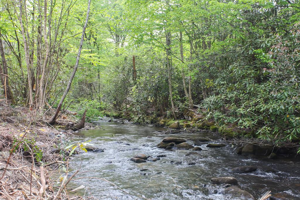 795 Porter Field Gap Road Robbinsville, NC 28771 - Photo 4 of 105