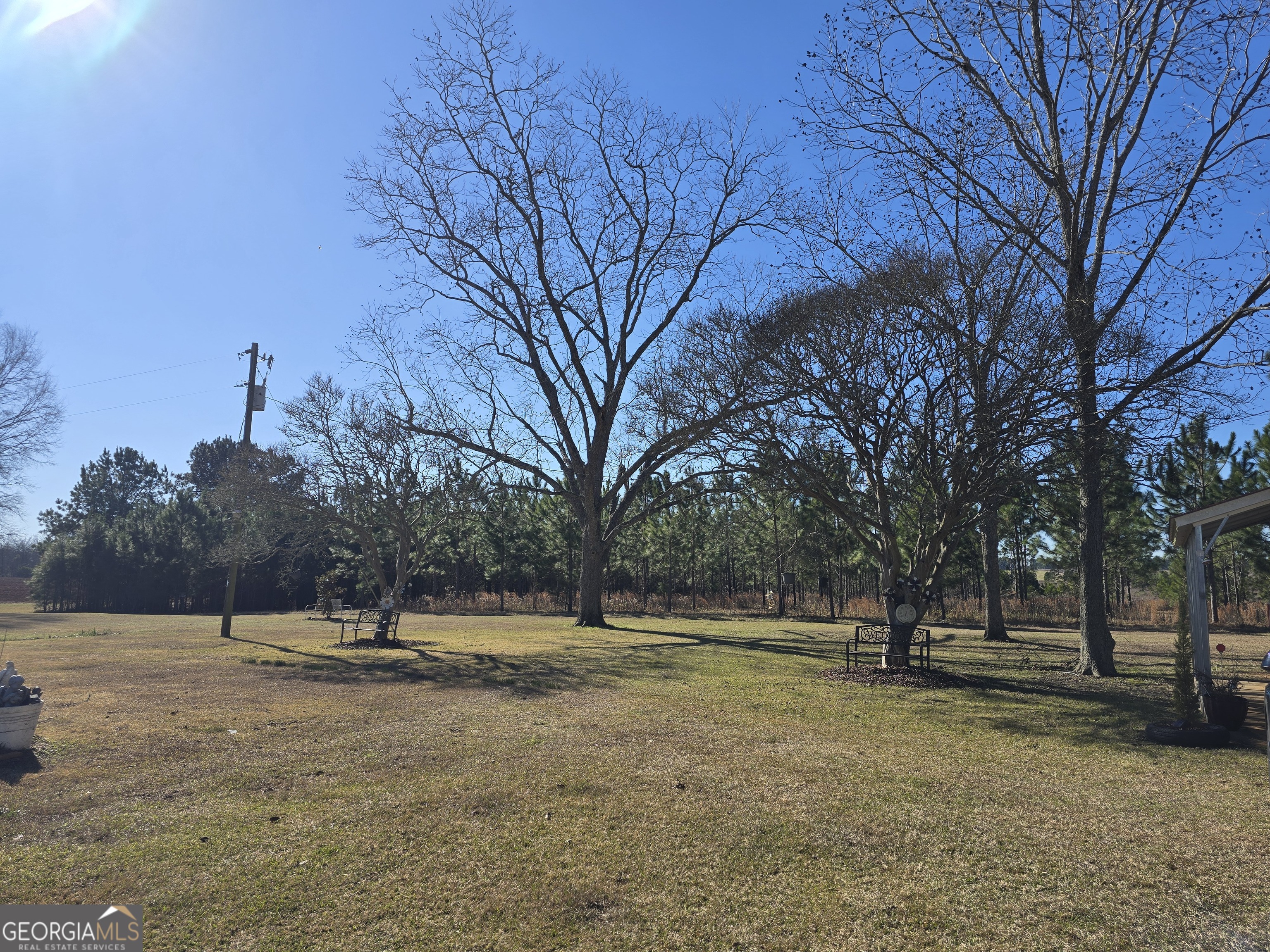 479 Mitchell Loop Bluffton, GA 39824 - Photo 3 of 51 a view of outdoor space with trees