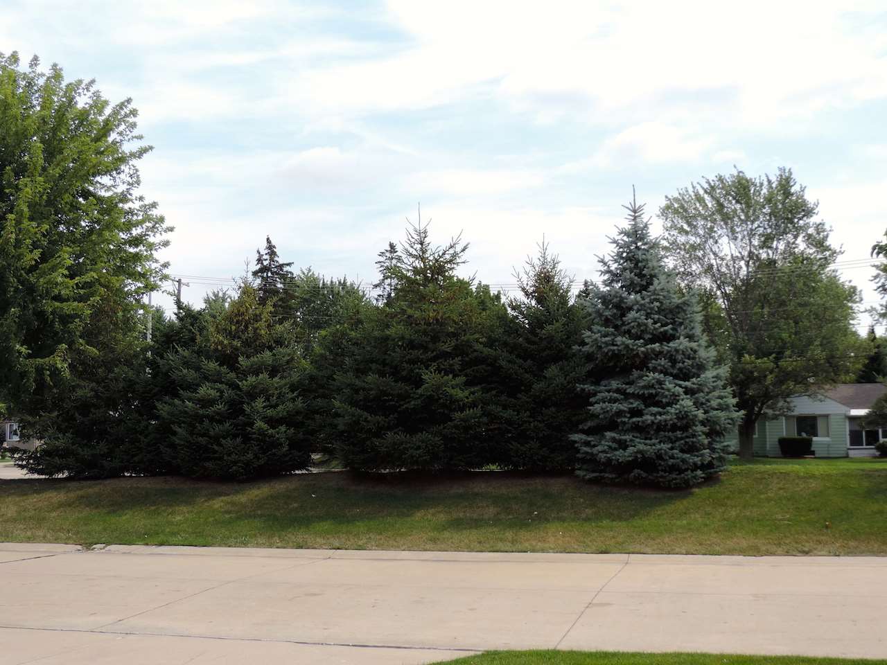 37349 Ryan Sterling Heights, MI 48310 - Photo 19 of 20 31258343-18.JPG