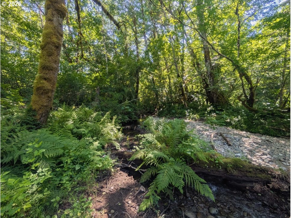 20284 East Carnarvon Road Rhododendron, OR 97049 - Photo 14 of 17