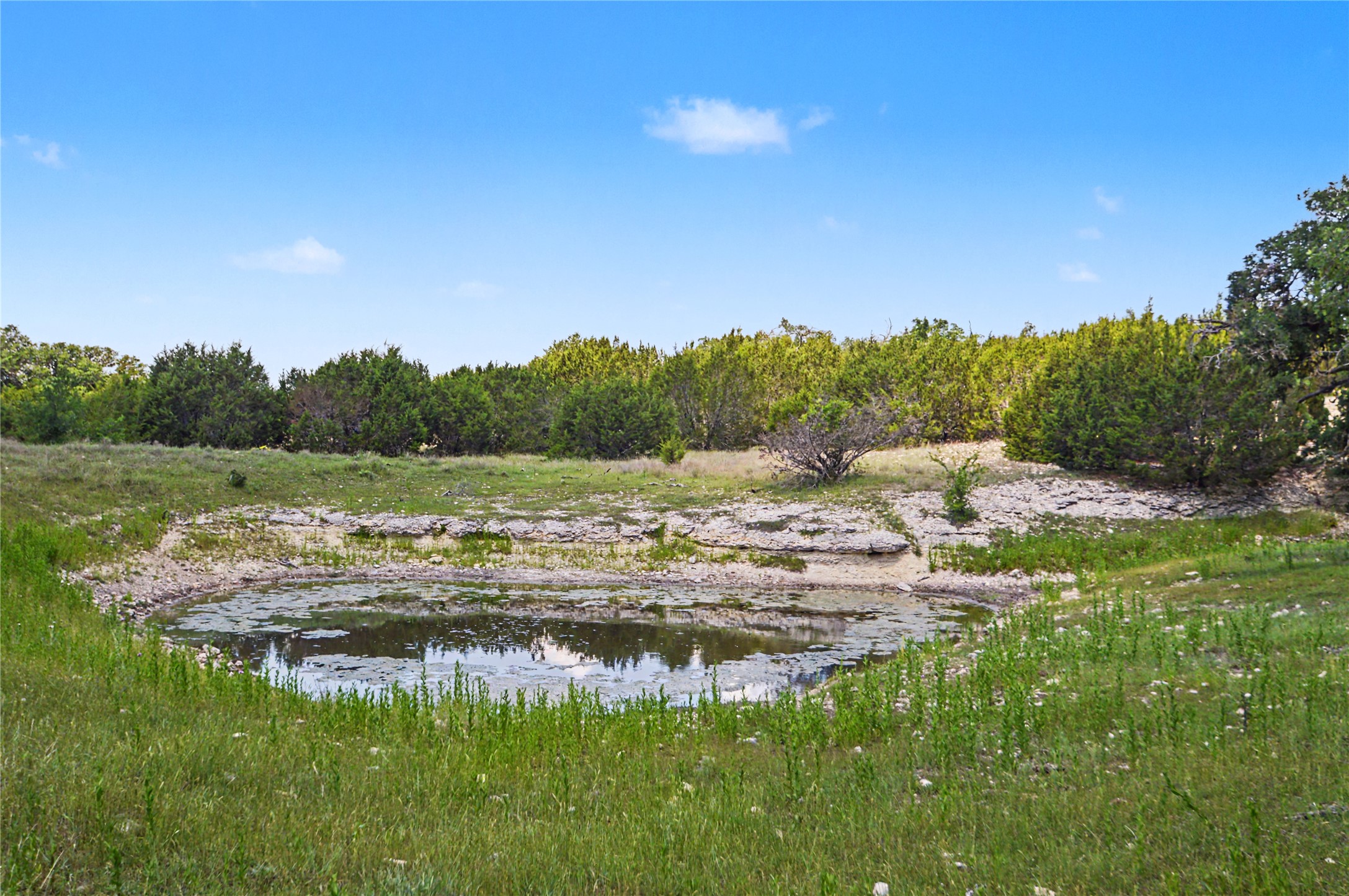 0 Cr 318 Road Goldthwaite, TX 76844 - Photo 33 of 37 a view of a water pond with green field