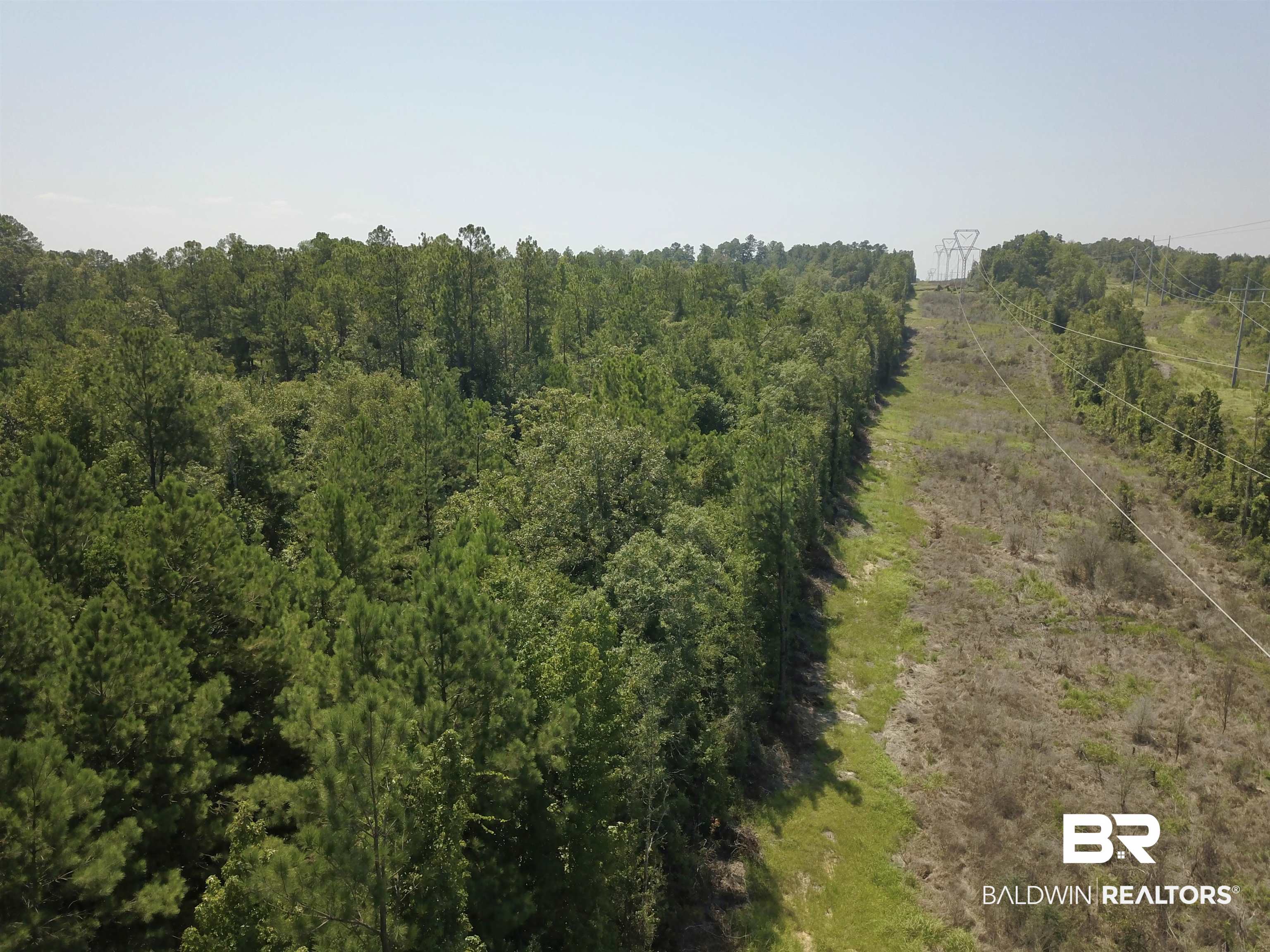 17175 Kelly Road Mount Vernon, AL 36560 - Photo 10 of 30 Birds eye view of property