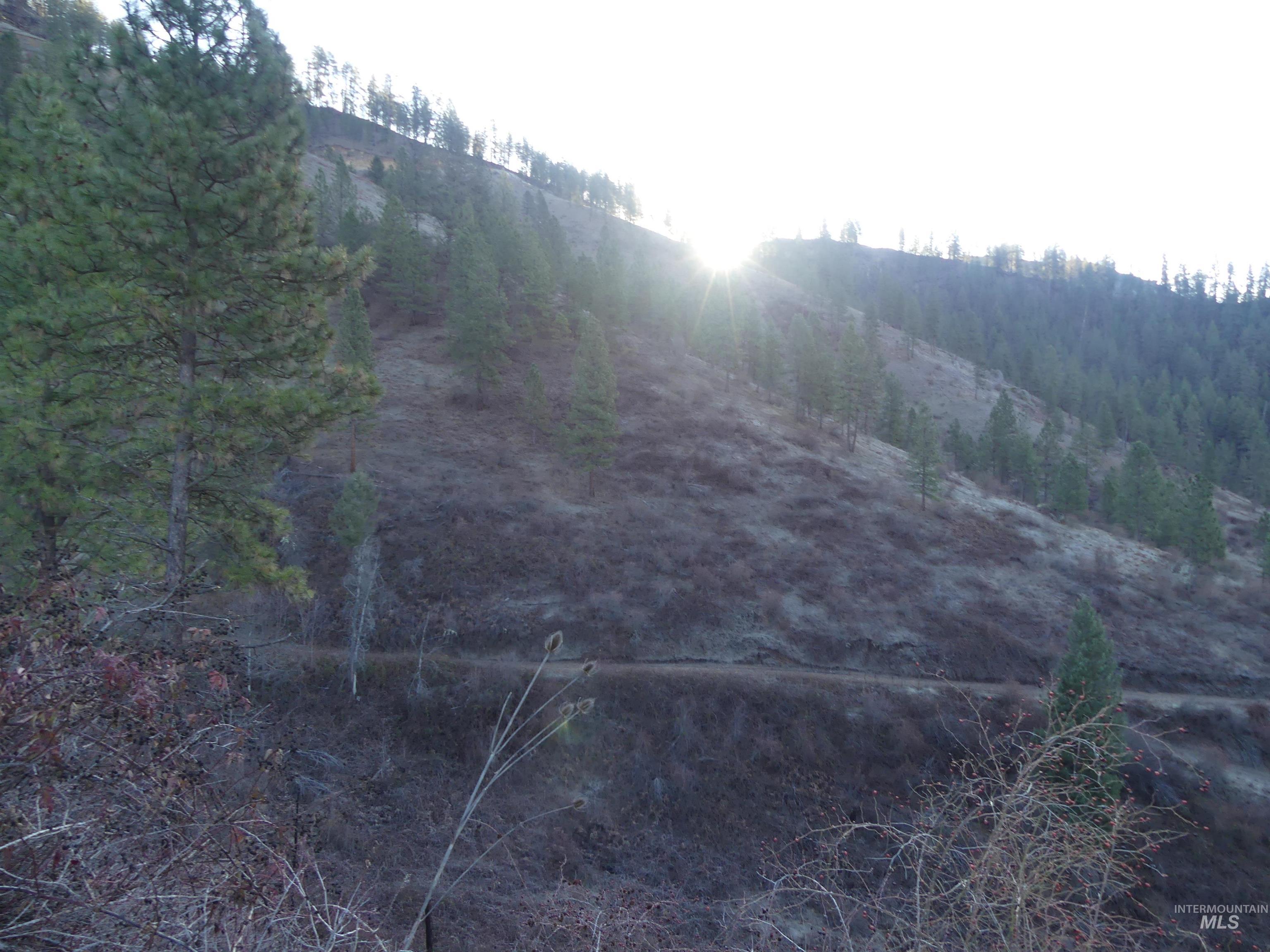 1404 Carrot Ridge Road Kamiah, ID 83536 - Photo 11 of 50