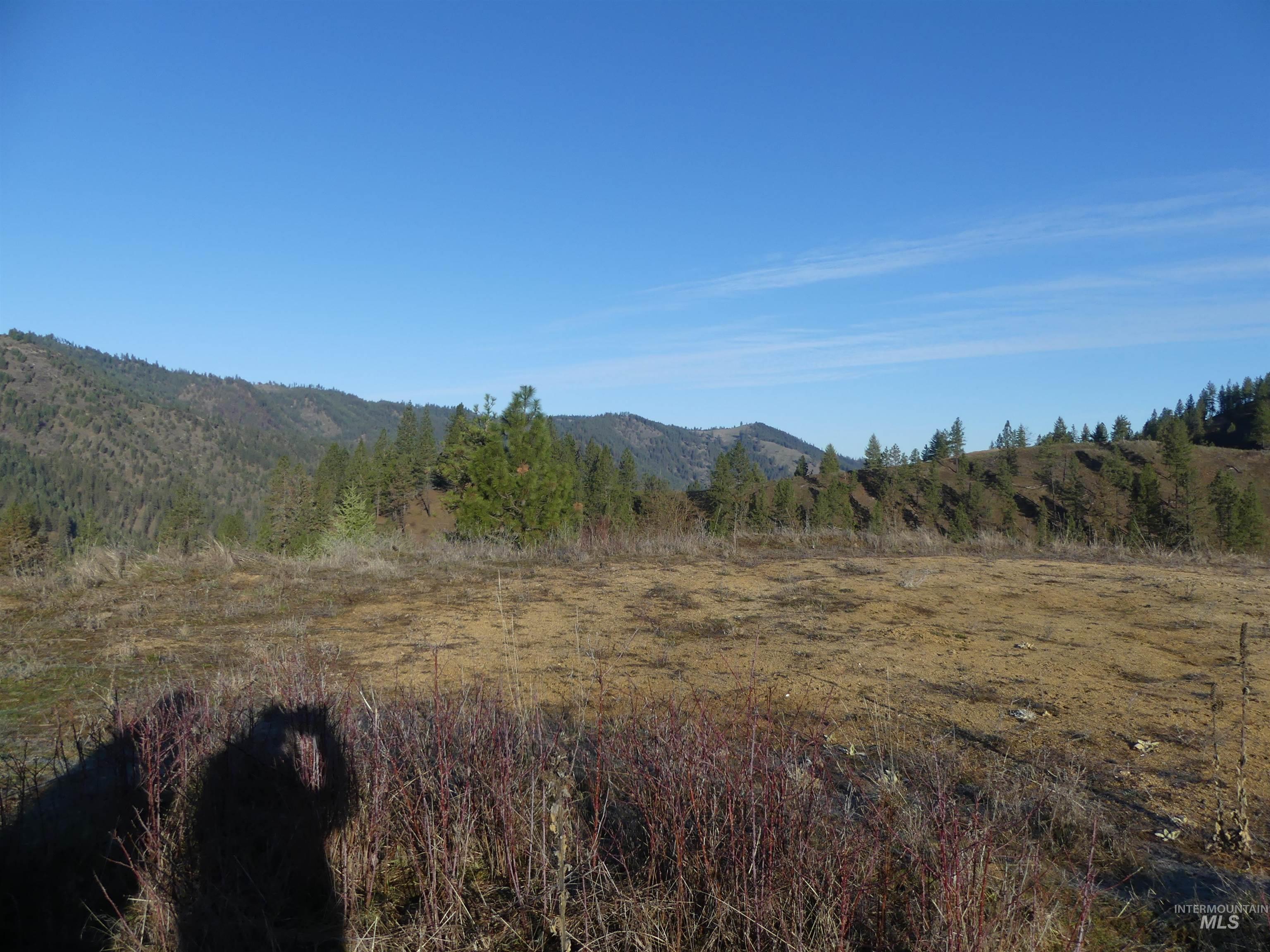 1404 Carrot Ridge Road Kamiah, ID 83536 - Photo 14 of 50