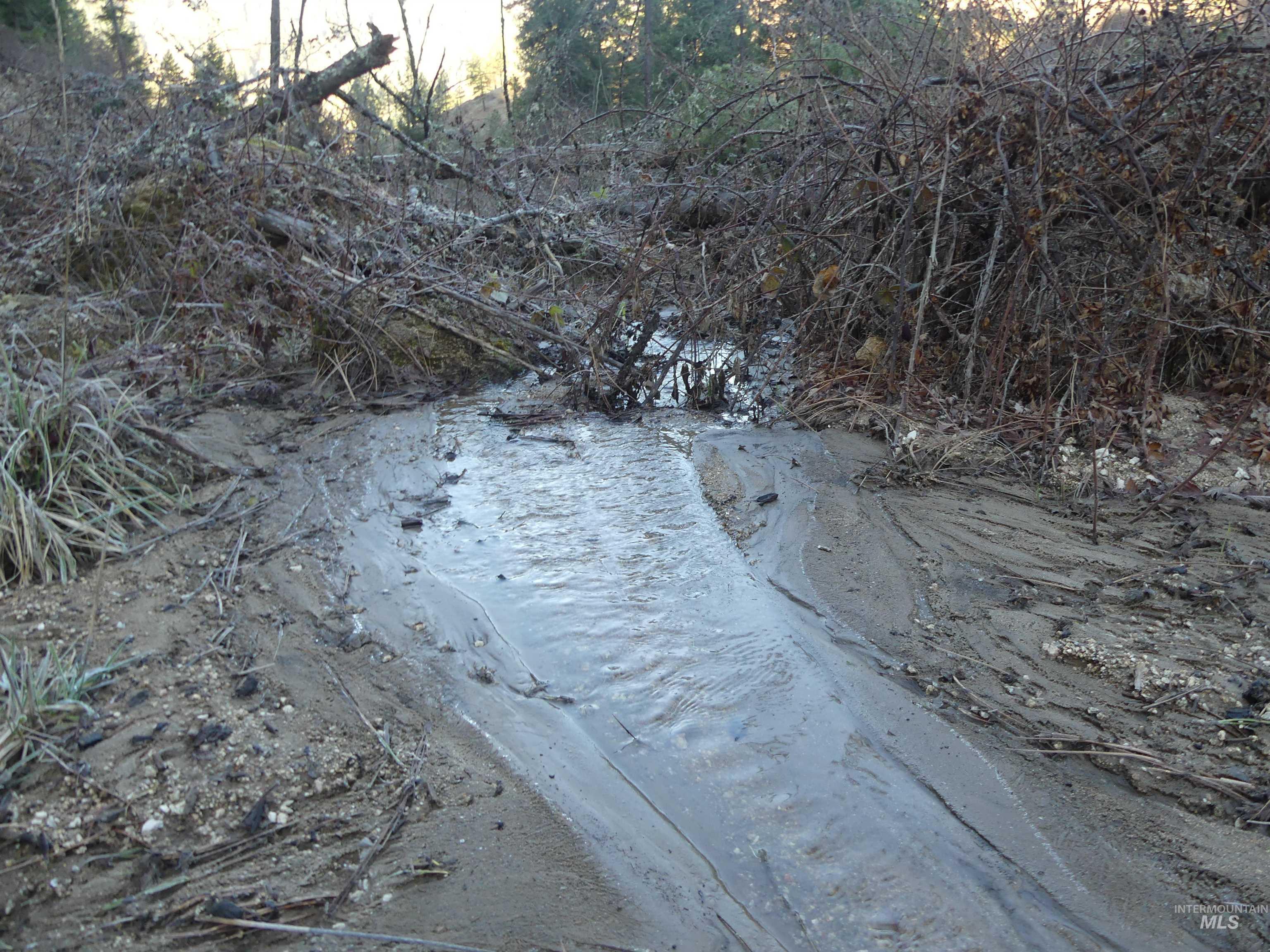1404 Carrot Ridge Road Kamiah, ID 83536 - Photo 16 of 50