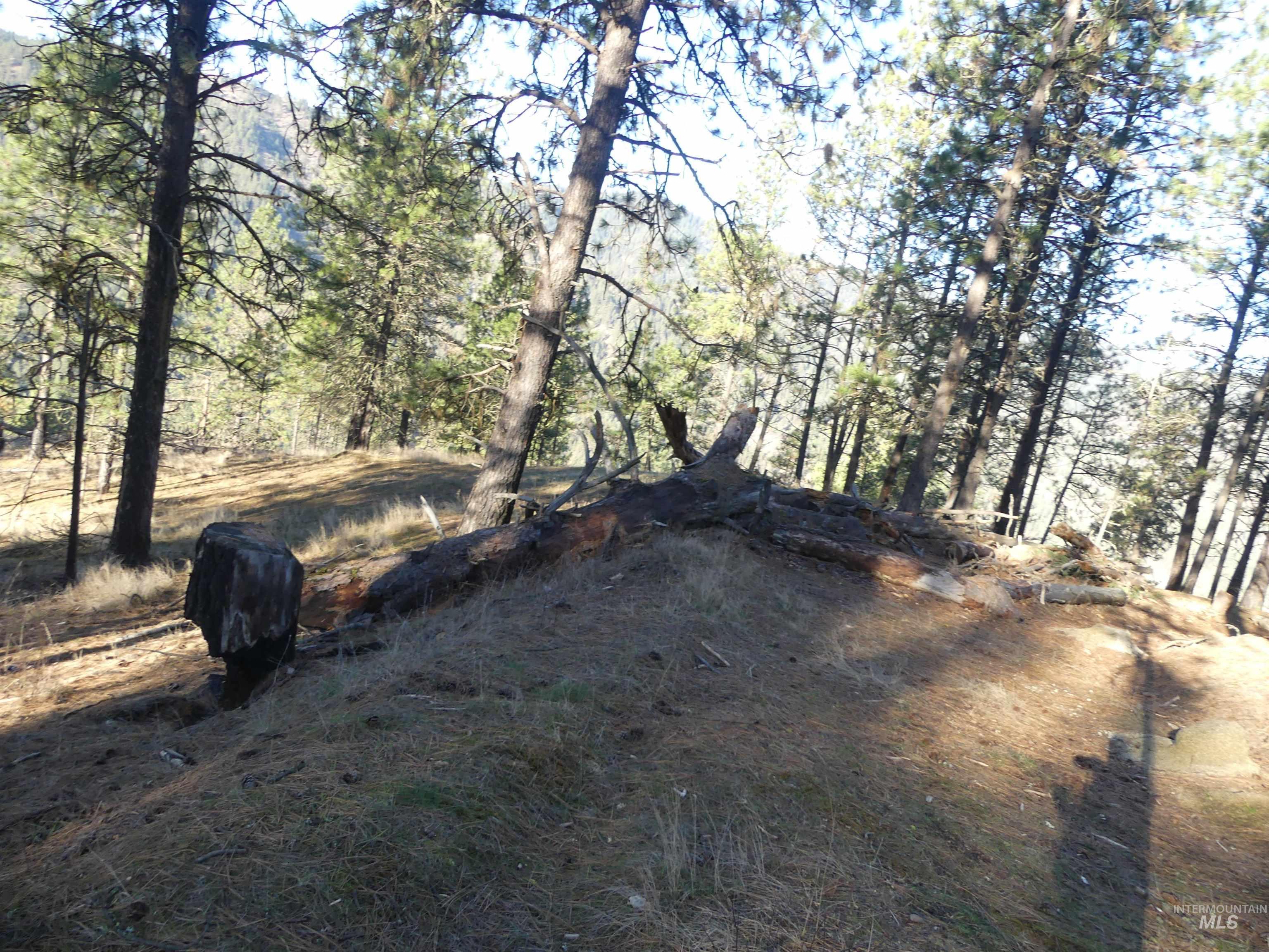 1404 Carrot Ridge Road Kamiah, ID 83536 - Photo 17 of 50