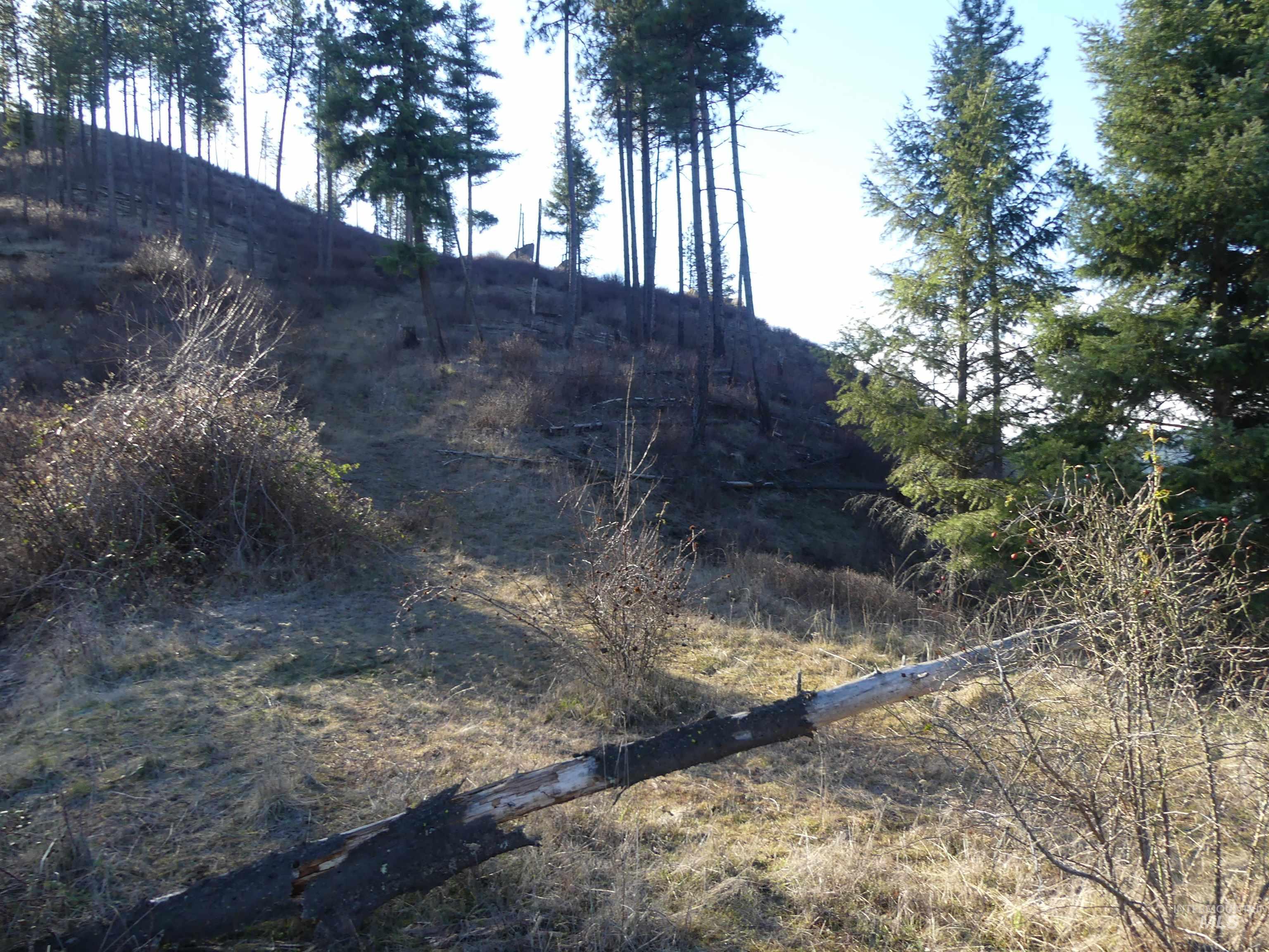 1404 Carrot Ridge Road Kamiah, ID 83536 - Photo 18 of 50