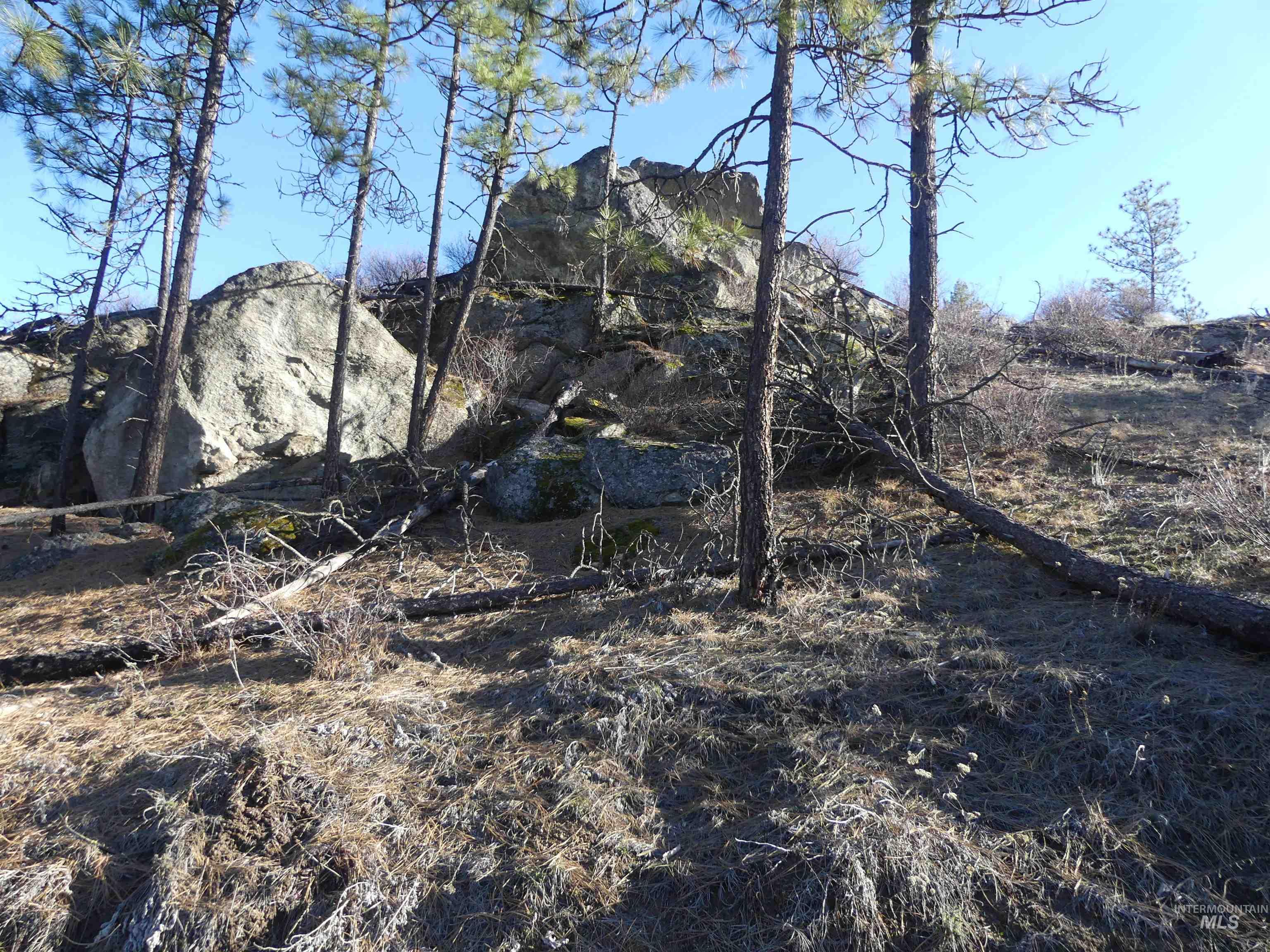 1404 Carrot Ridge Road Kamiah, ID 83536 - Photo 19 of 50