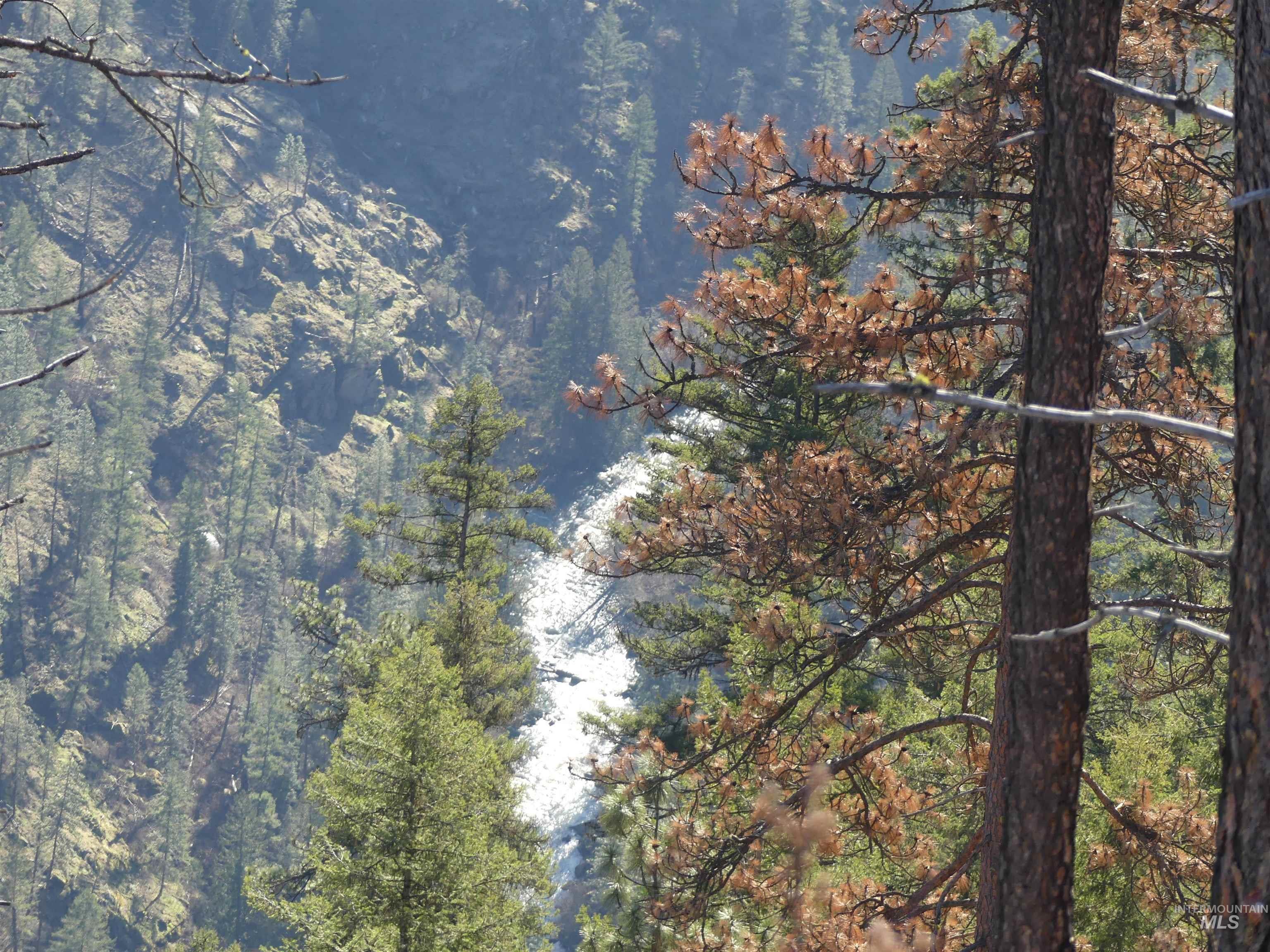 1404 Carrot Ridge Road Kamiah, ID 83536 - Photo 20 of 50