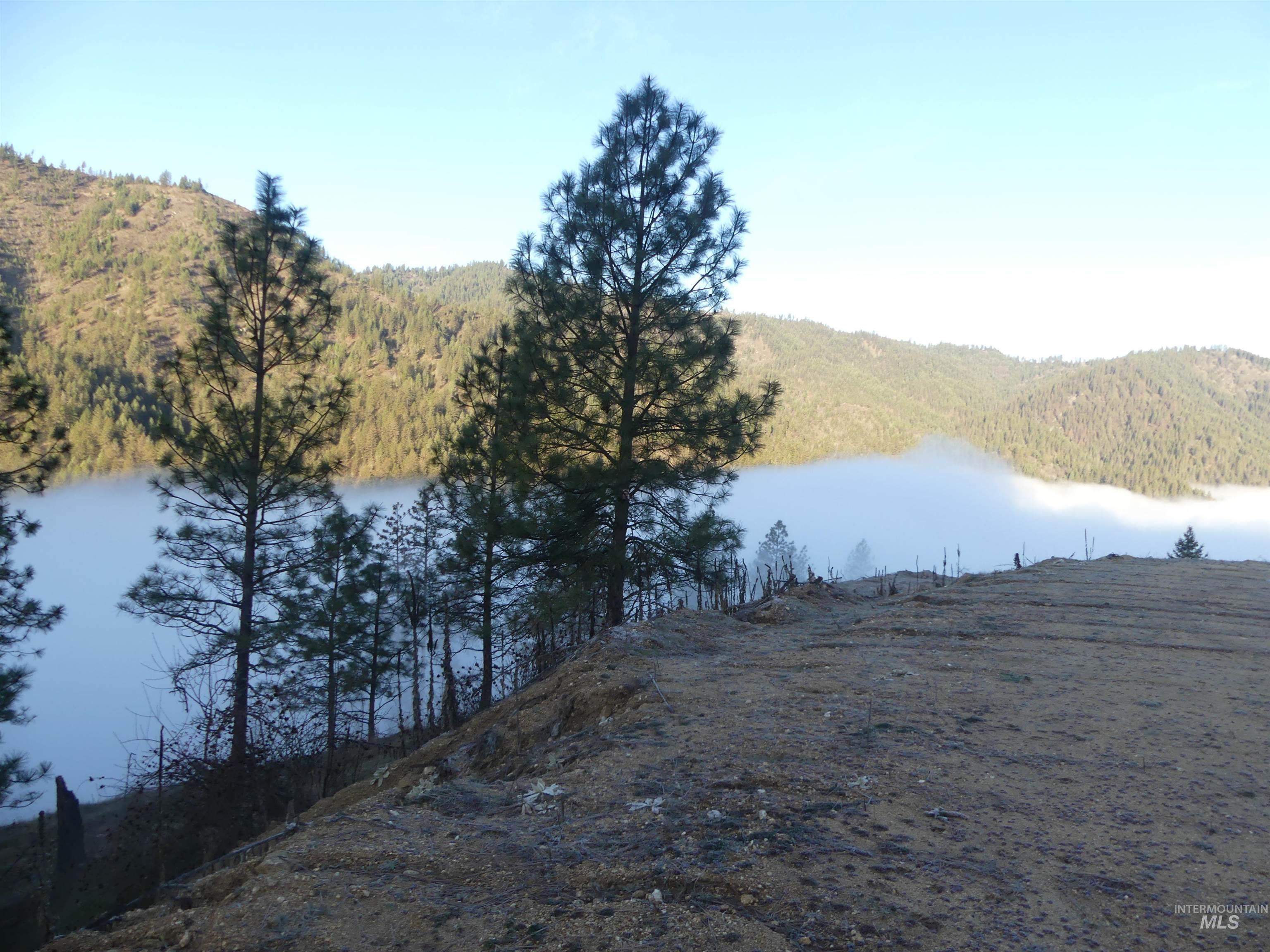 1404 Carrot Ridge Road Kamiah, ID 83536 - Photo 2 of 50