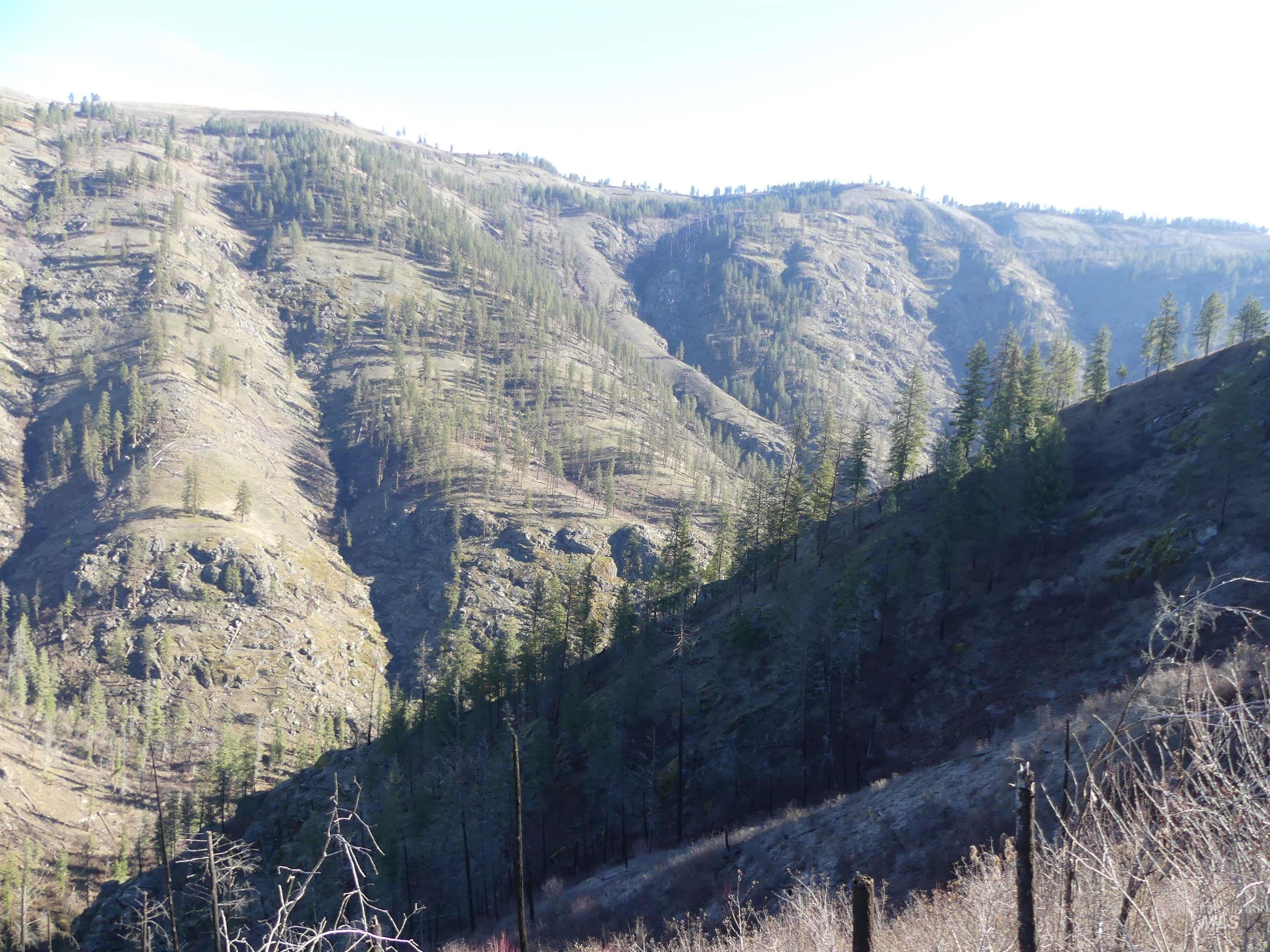 1404 Carrot Ridge Road Kamiah, ID 83536 - Photo 26 of 50