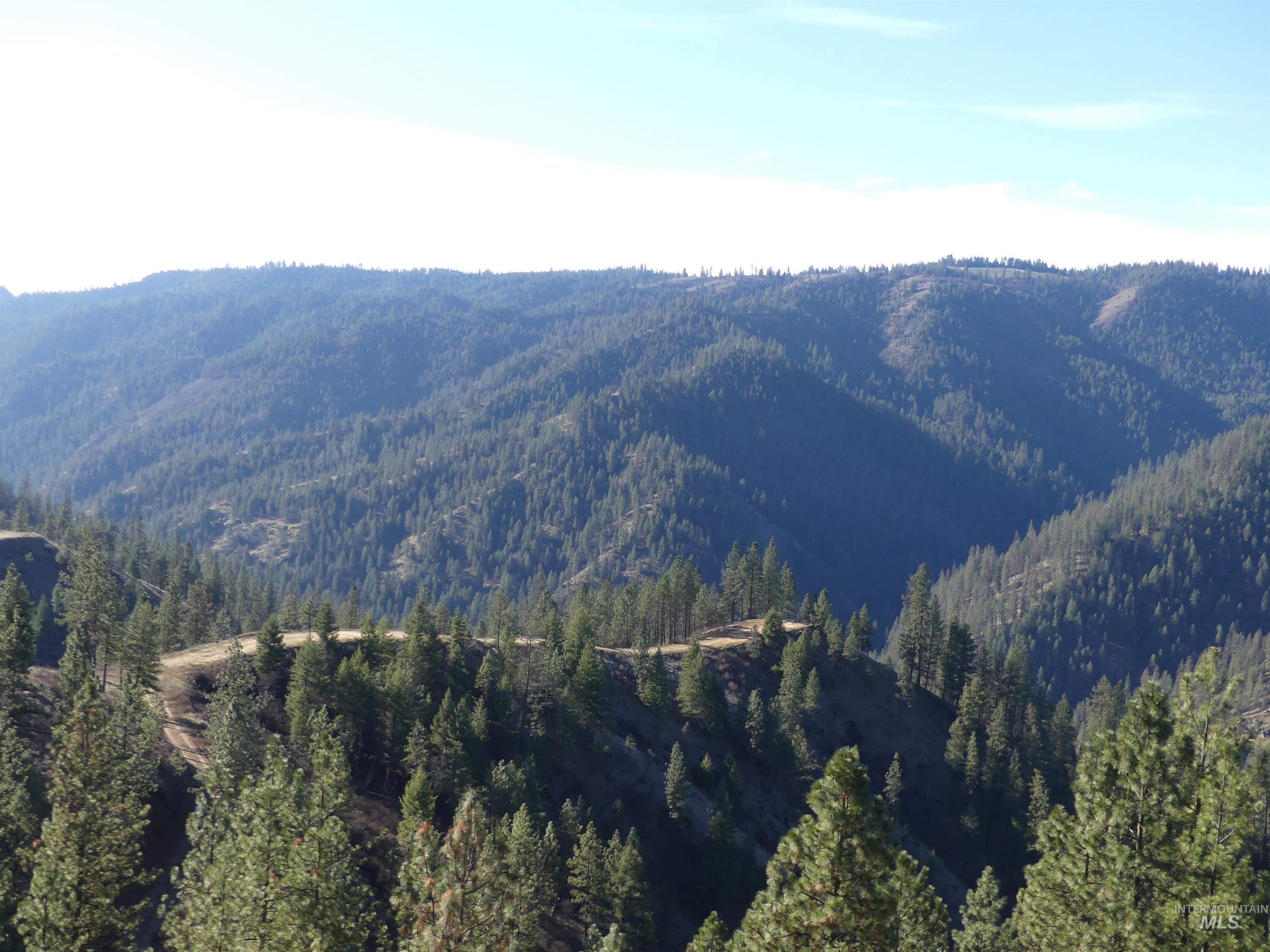 1404 Carrot Ridge Road Kamiah, ID 83536 - Photo 27 of 50