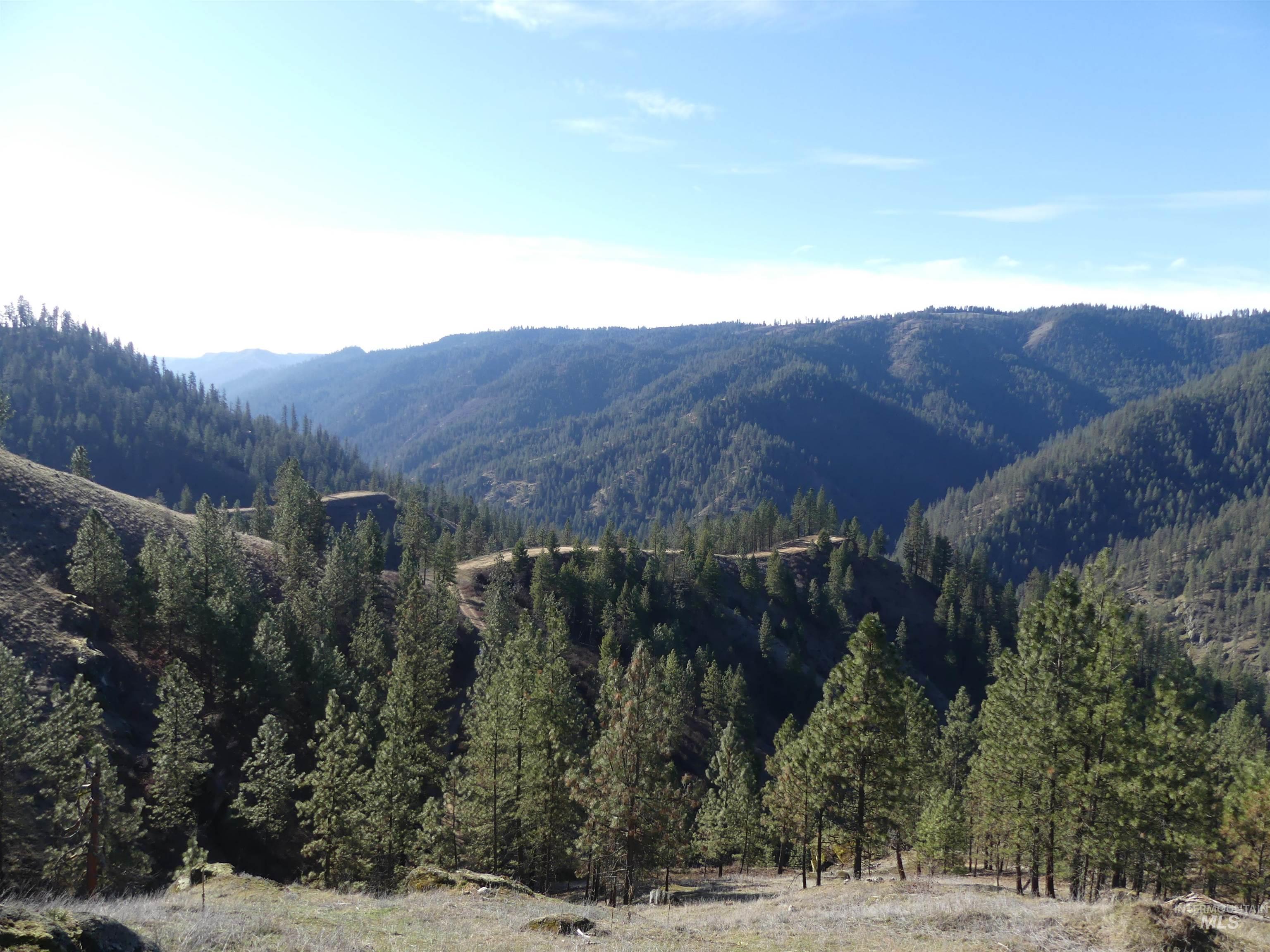 1404 Carrot Ridge Road Kamiah, ID 83536 - Photo 28 of 50