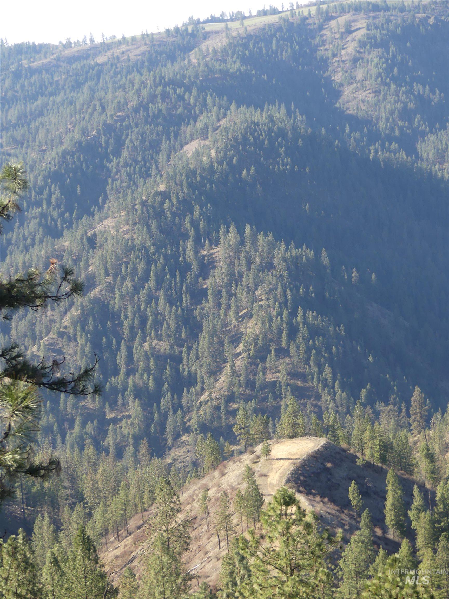 1404 Carrot Ridge Road Kamiah, ID 83536 - Photo 31 of 50