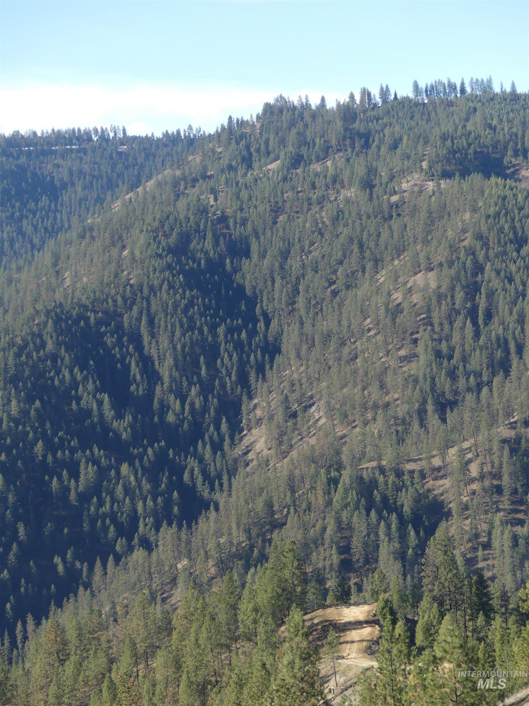 1404 Carrot Ridge Road Kamiah, ID 83536 - Photo 32 of 50