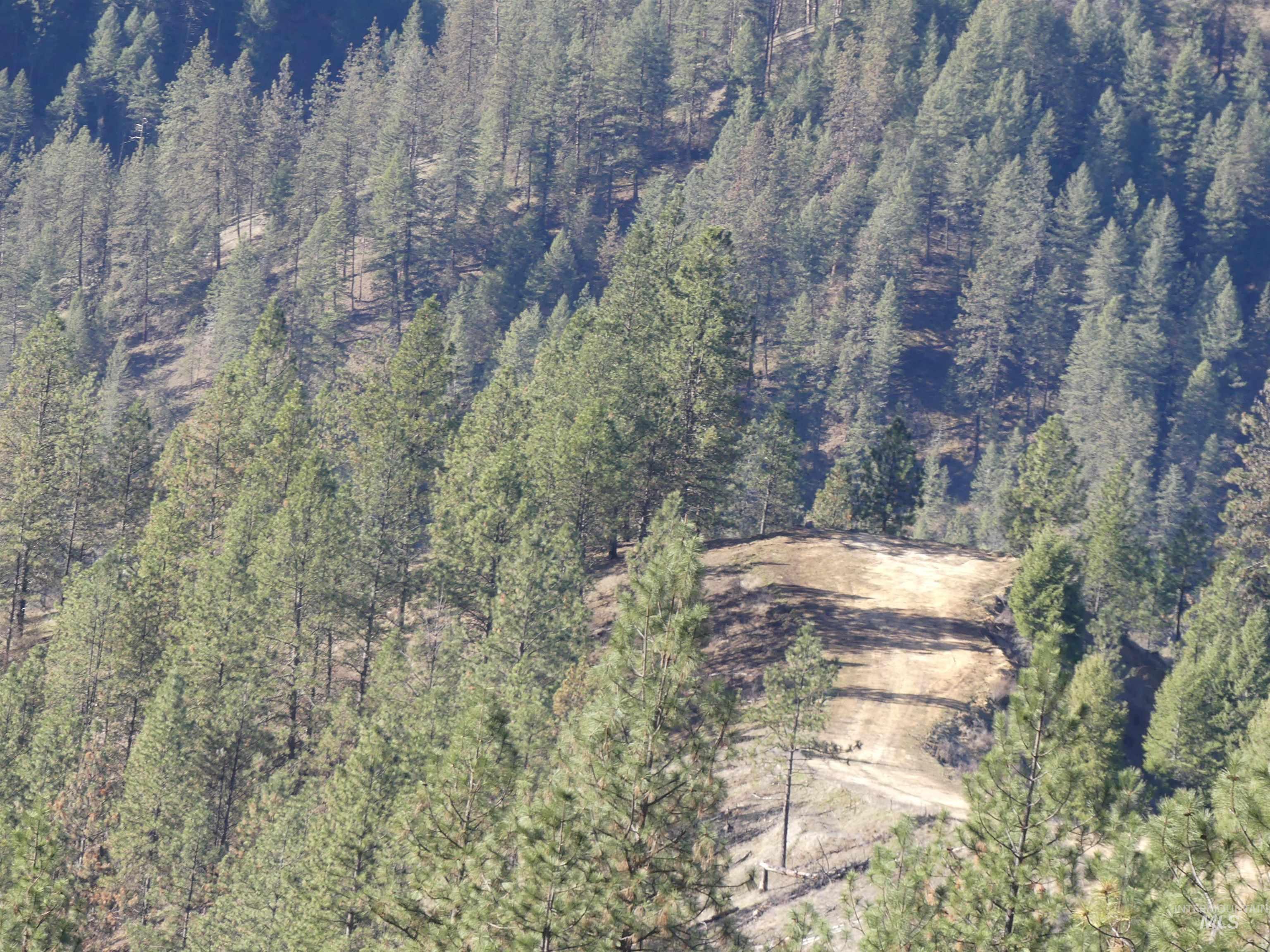 1404 Carrot Ridge Road Kamiah, ID 83536 - Photo 33 of 50