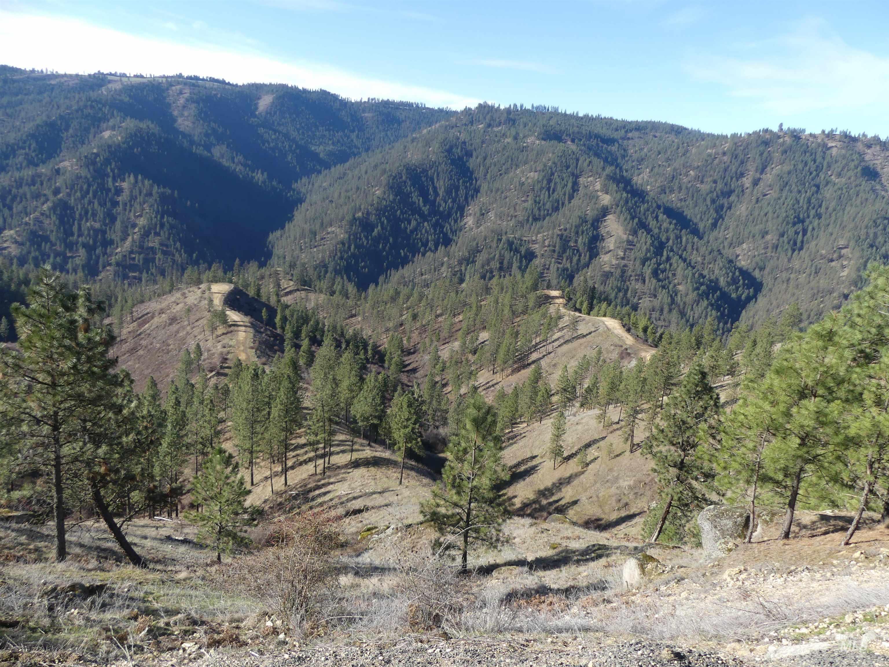 1404 Carrot Ridge Road Kamiah, ID 83536 - Photo 34 of 50