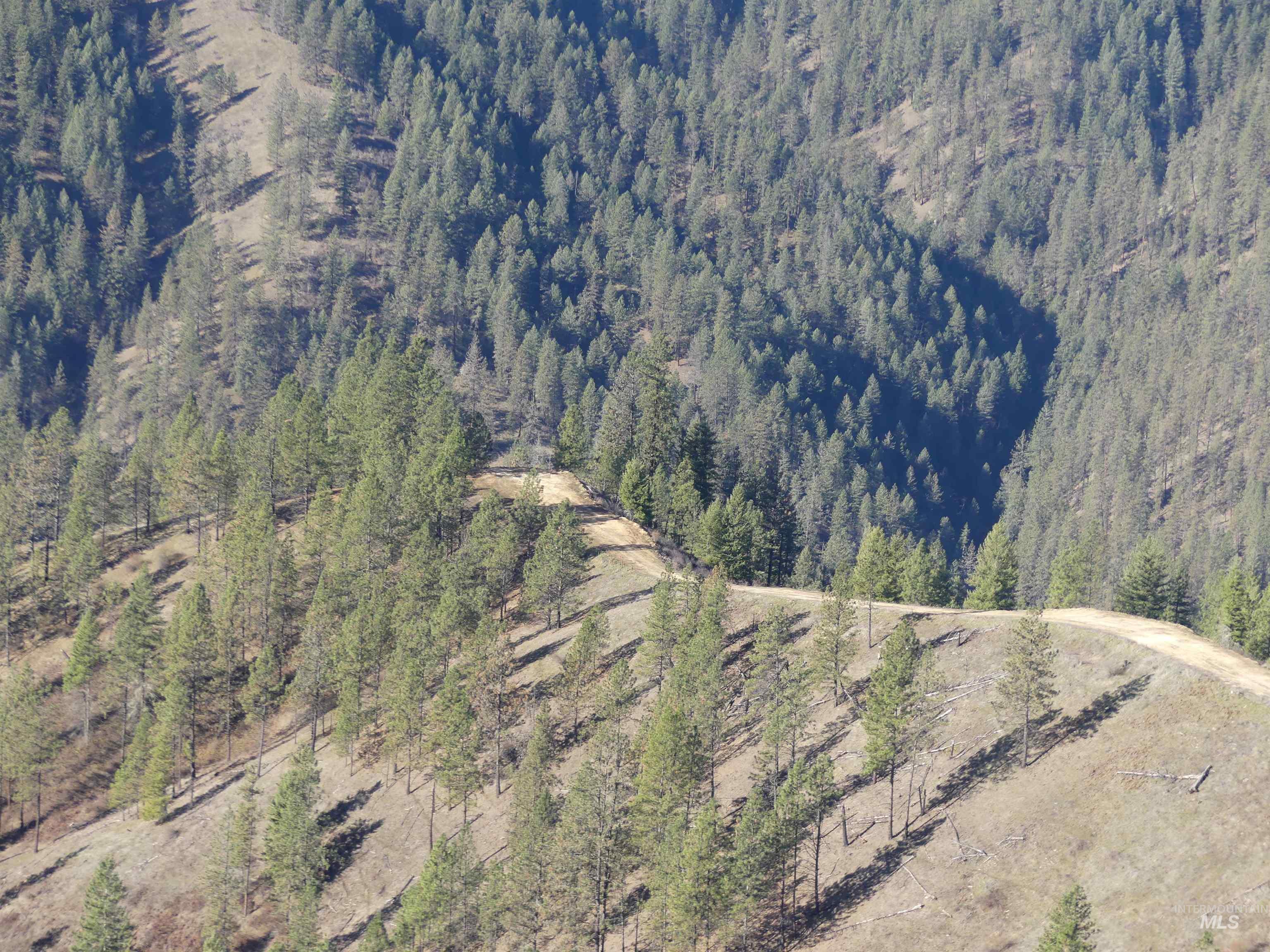 1404 Carrot Ridge Road Kamiah, ID 83536 - Photo 35 of 50