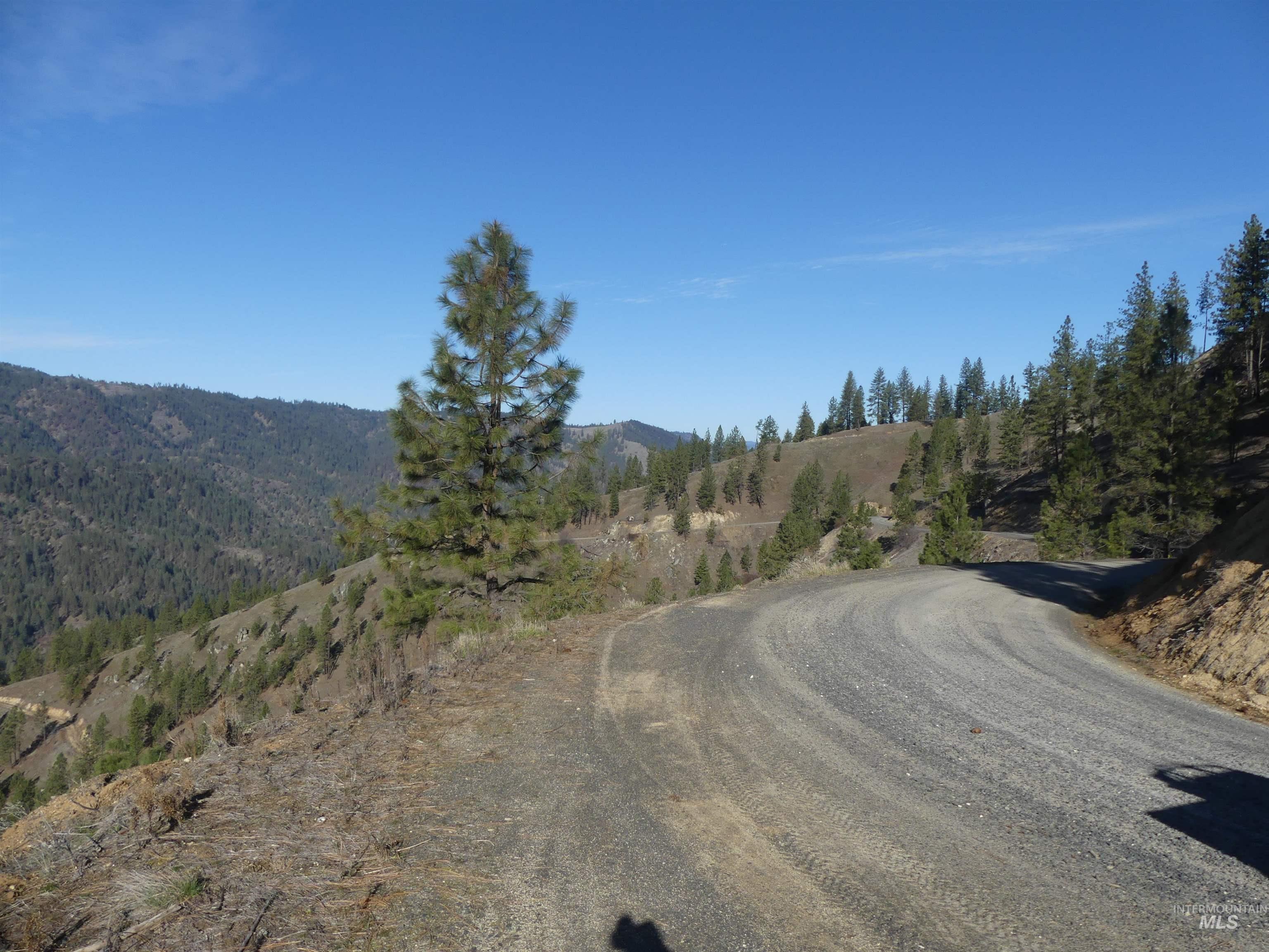 1404 Carrot Ridge Road Kamiah, ID 83536 - Photo 39 of 50