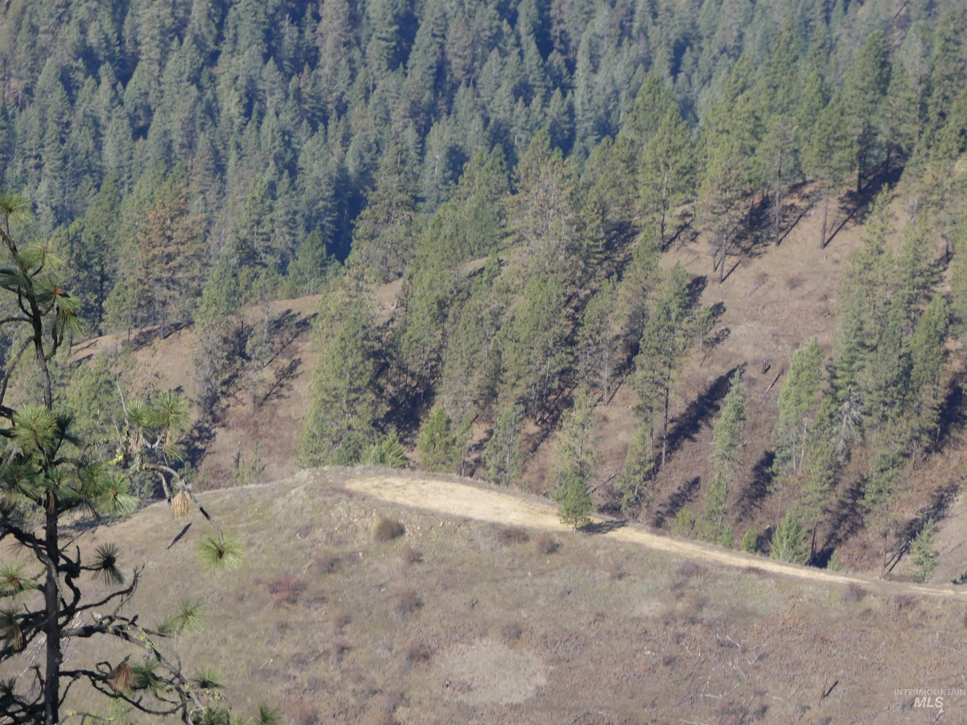 1404 Carrot Ridge Road Kamiah, ID 83536 - Photo 40 of 50