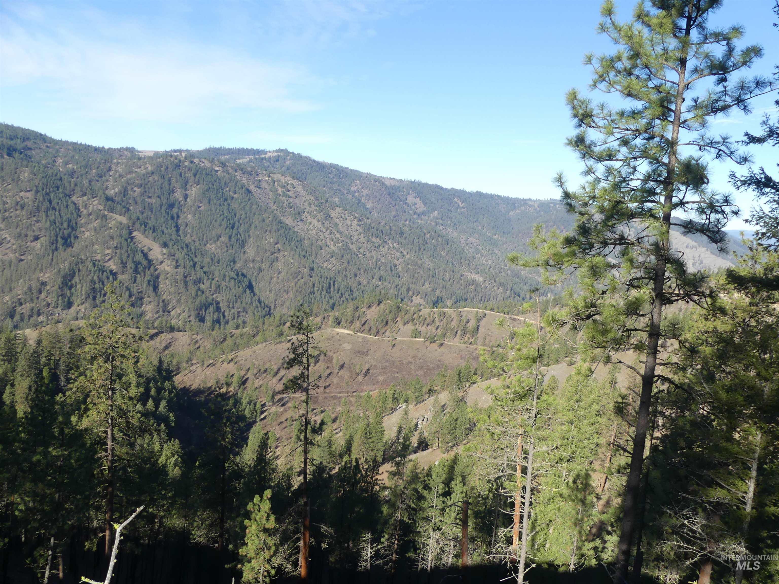 1404 Carrot Ridge Road Kamiah, ID 83536 - Photo 41 of 50