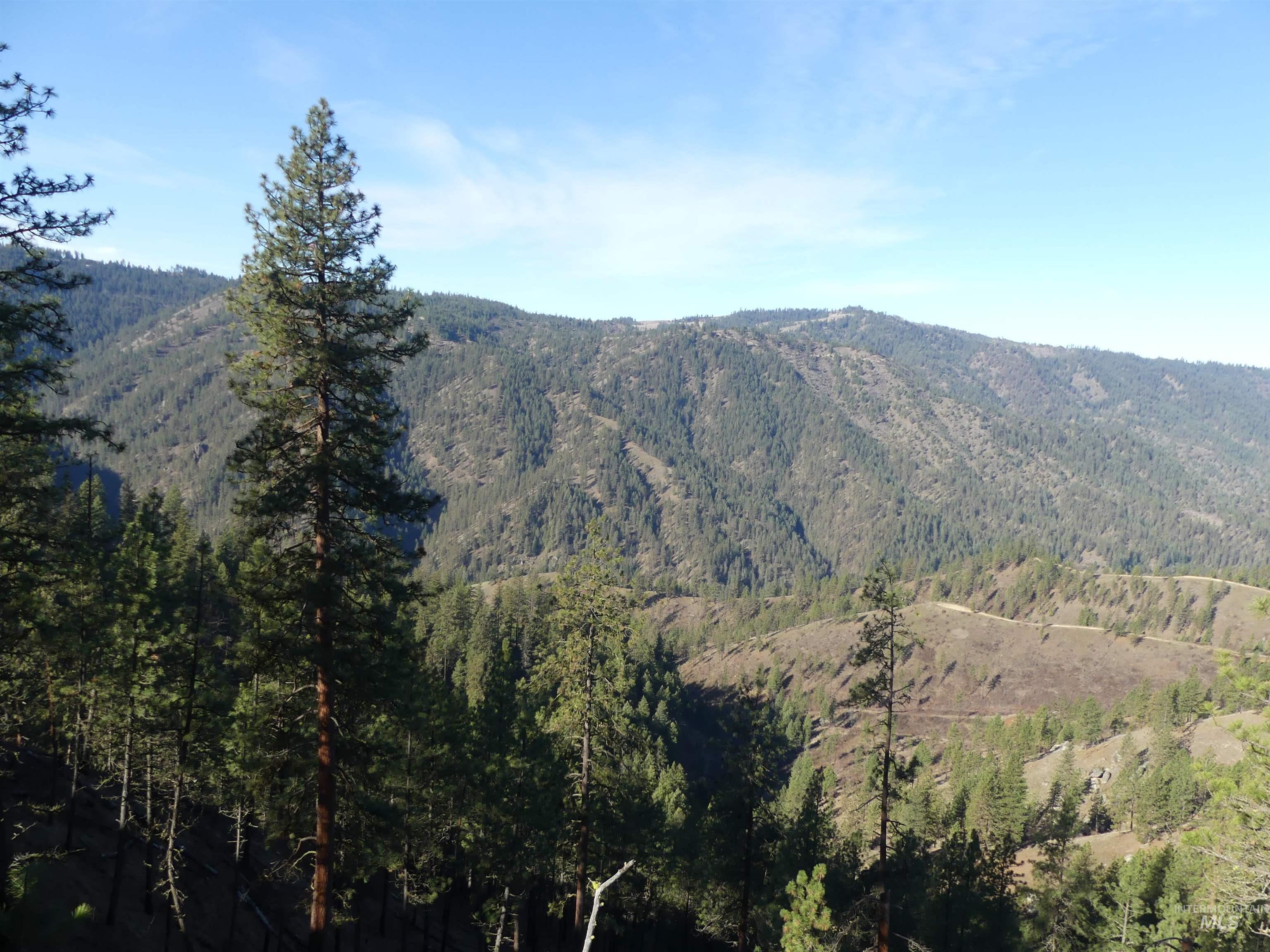 1404 Carrot Ridge Road Kamiah, ID 83536 - Photo 42 of 50