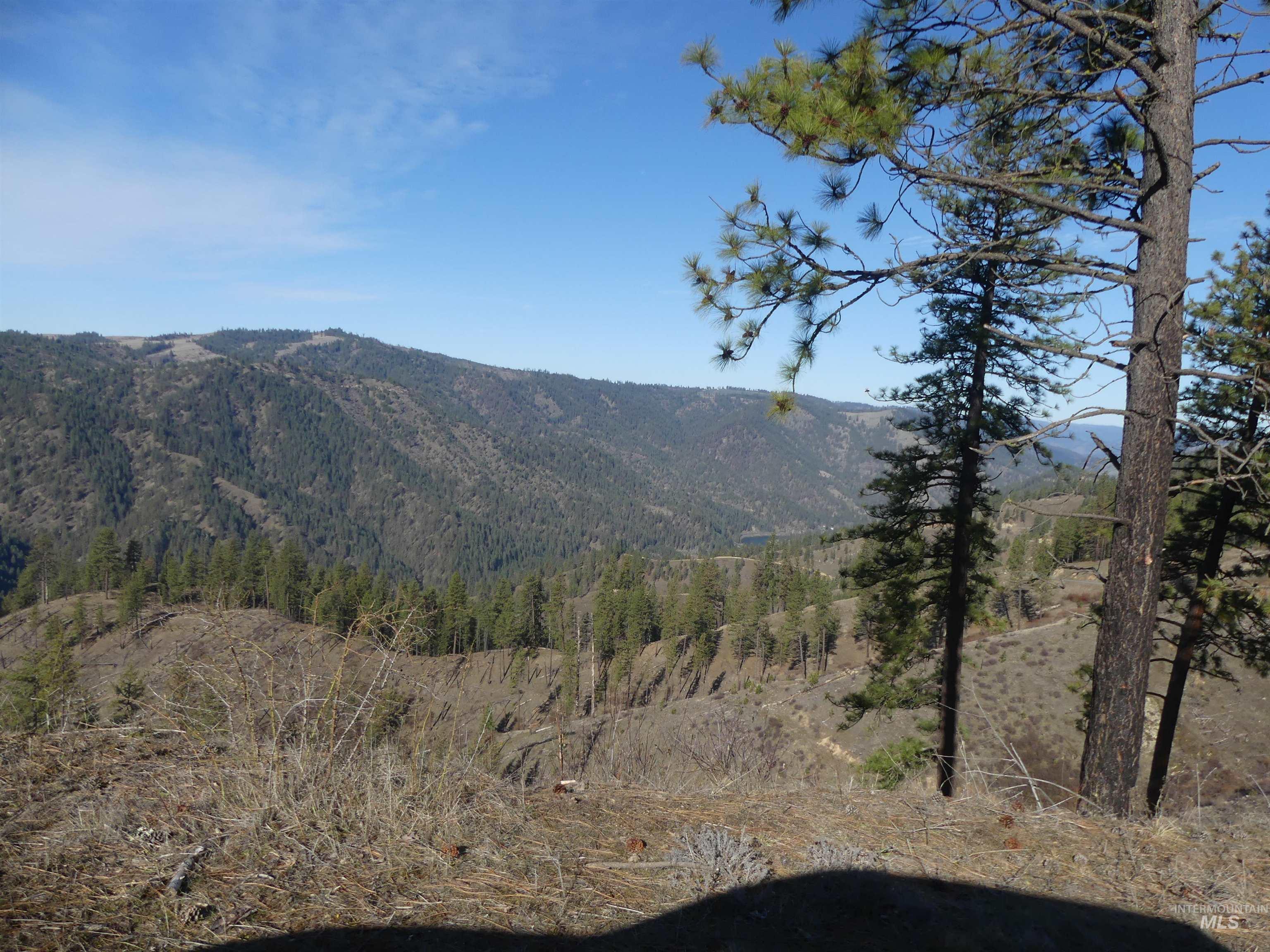 1404 Carrot Ridge Road Kamiah, ID 83536 - Photo 43 of 50