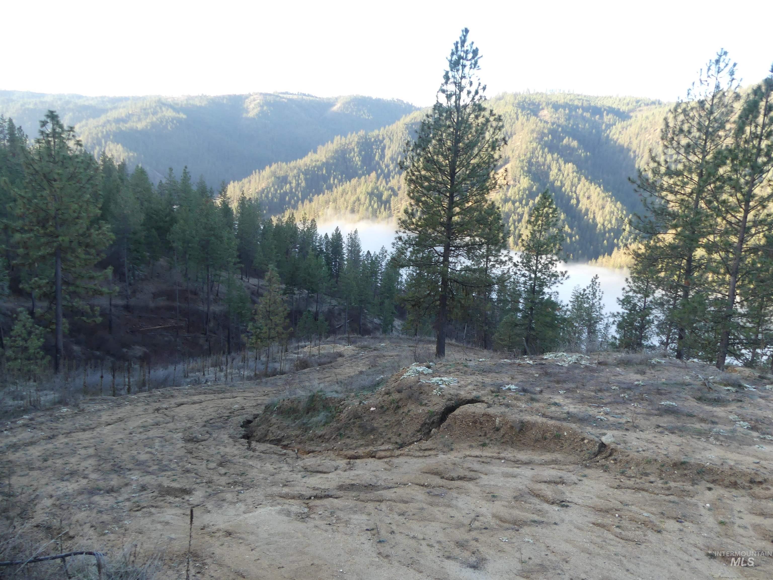 1404 Carrot Ridge Road Kamiah, ID 83536 - Photo 5 of 50