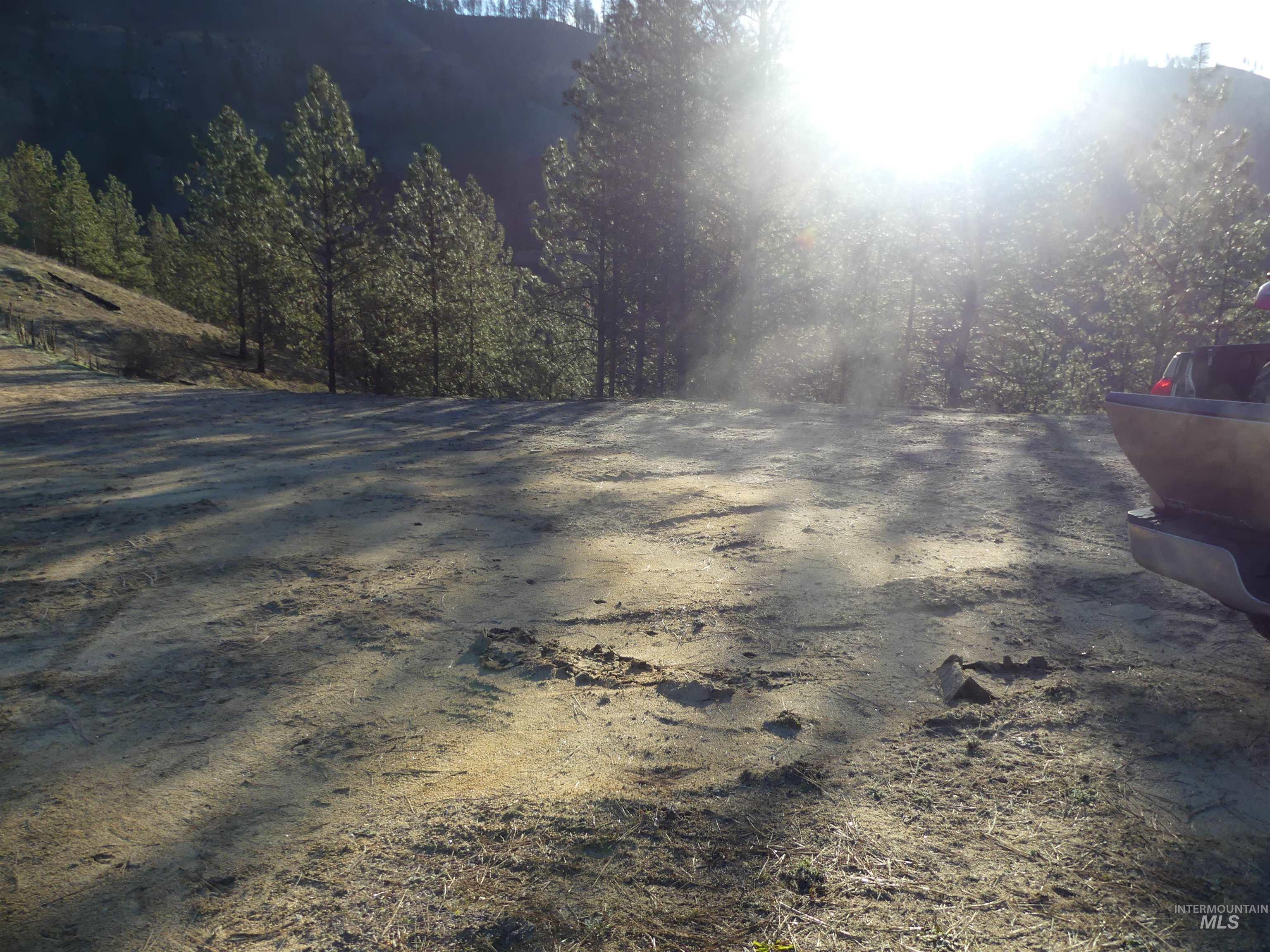 1404 Carrot Ridge Road Kamiah, ID 83536 - Photo 7 of 50