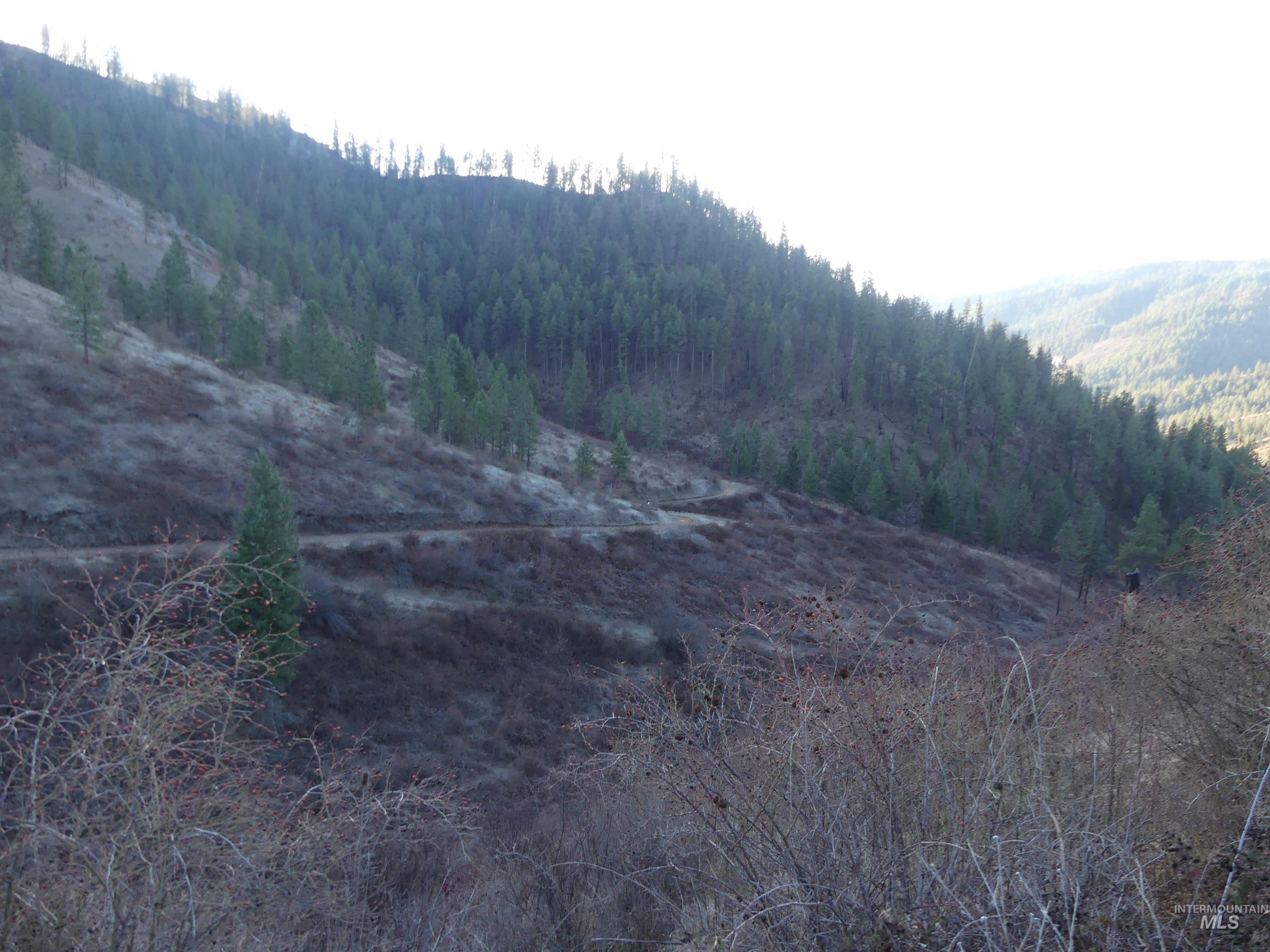 1404 Carrot Ridge Road Kamiah, ID 83536 - Photo 10 of 50