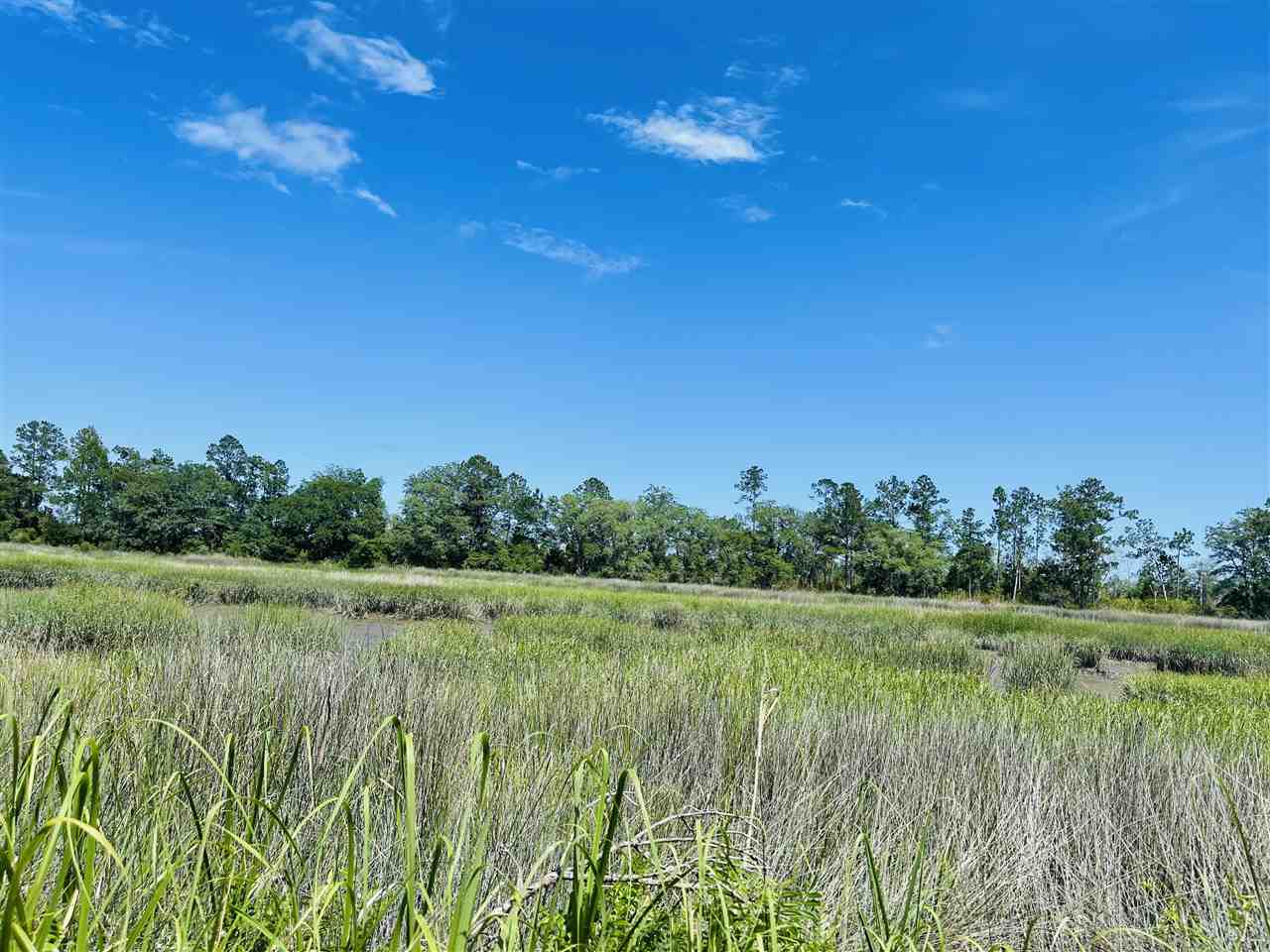 3297 Horseshoe Cove Road Waverly, GA 31565 - Photo 17 of 22