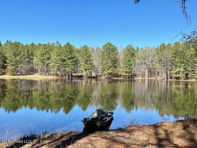 14640 Dry Grove Road Raymond, MS 39154 - Photo 11 of 52 1 of 2 Fully Stockeds Ponds