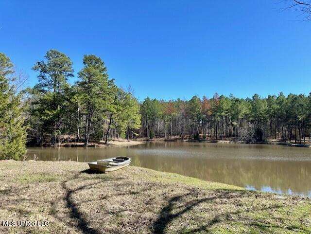 14640 Dry Grove Road Raymond, MS 39154 - Photo 13 of 52 Pond 1