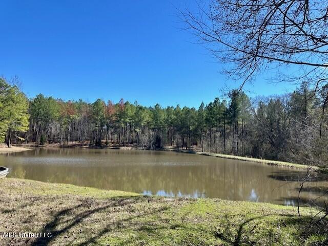 14640 Dry Grove Road Raymond, MS 39154 - Photo 14 of 52 Pond 1