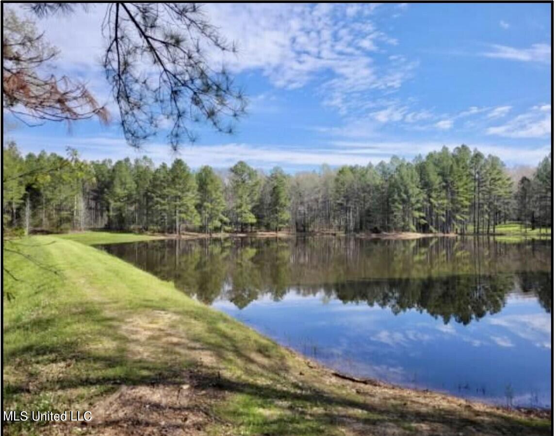 14640 Dry Grove Road Raymond, MS 39154 - Photo 15 of 52 Pond