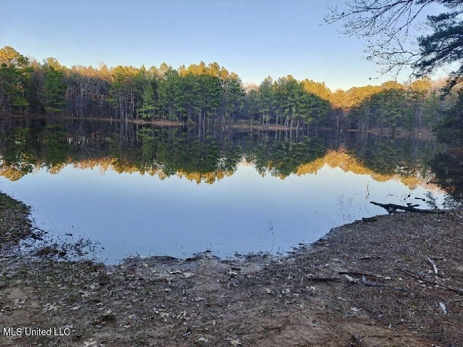 14640 Dry Grove Road Raymond, MS 39154 - Photo 17 of 52 Picturesque view