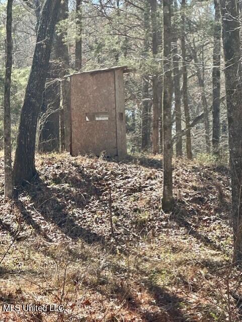 14640 Dry Grove Road Raymond, MS 39154 - Photo 18 of 52 Deer Stand