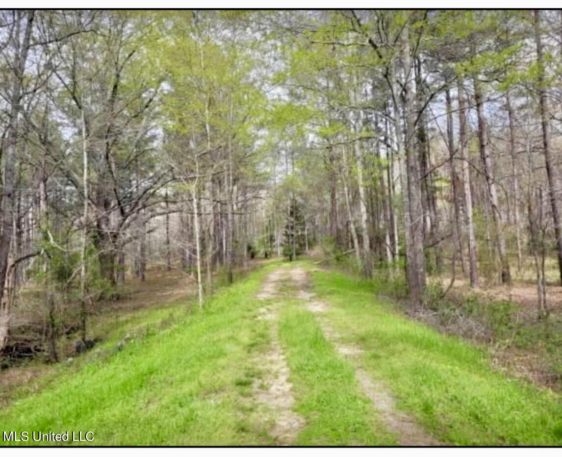 14640 Dry Grove Road Raymond, MS 39154 - Photo 50 of 52 Access Road on left side of home to land