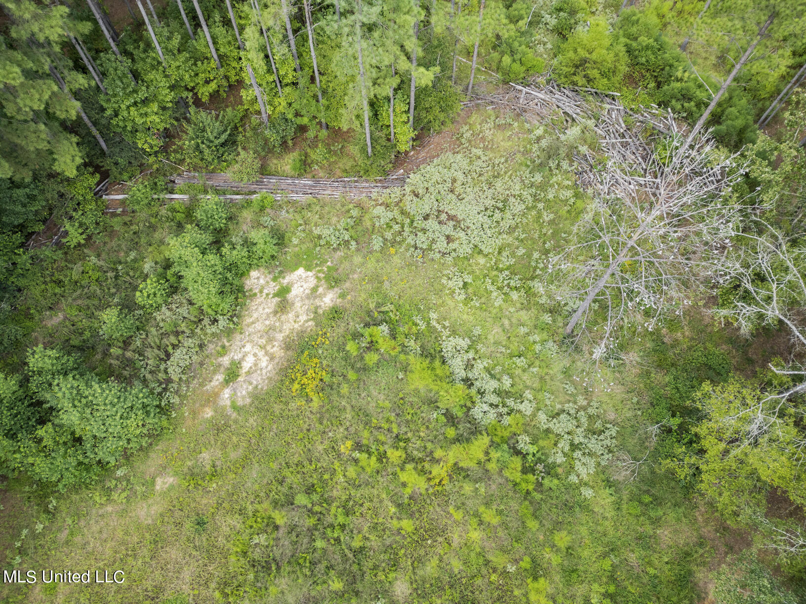 14640 Dry Grove Road Raymond, MS 39154 - Photo 51 of 52 Hunt in your on backyard
